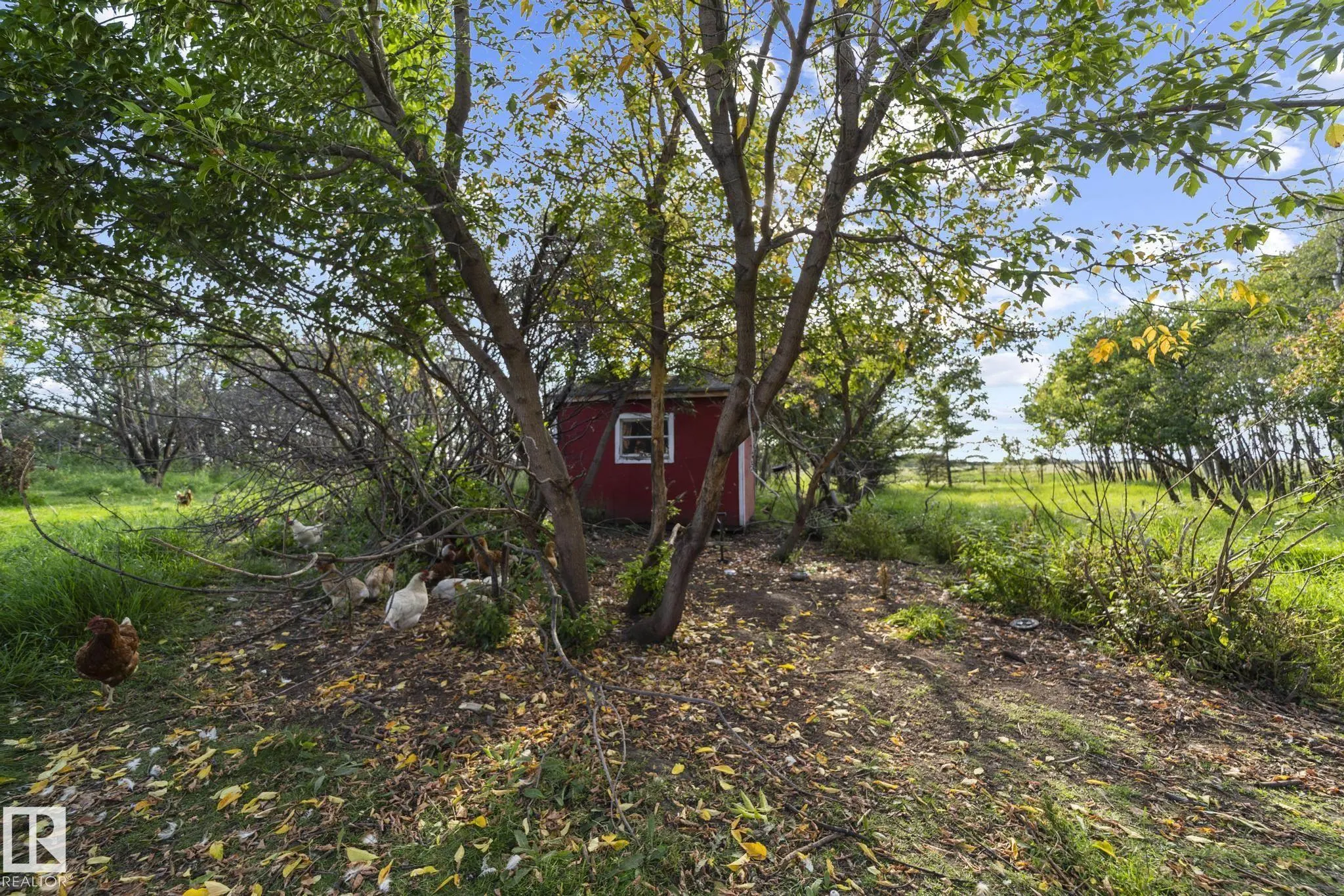 48448 Range Road 184