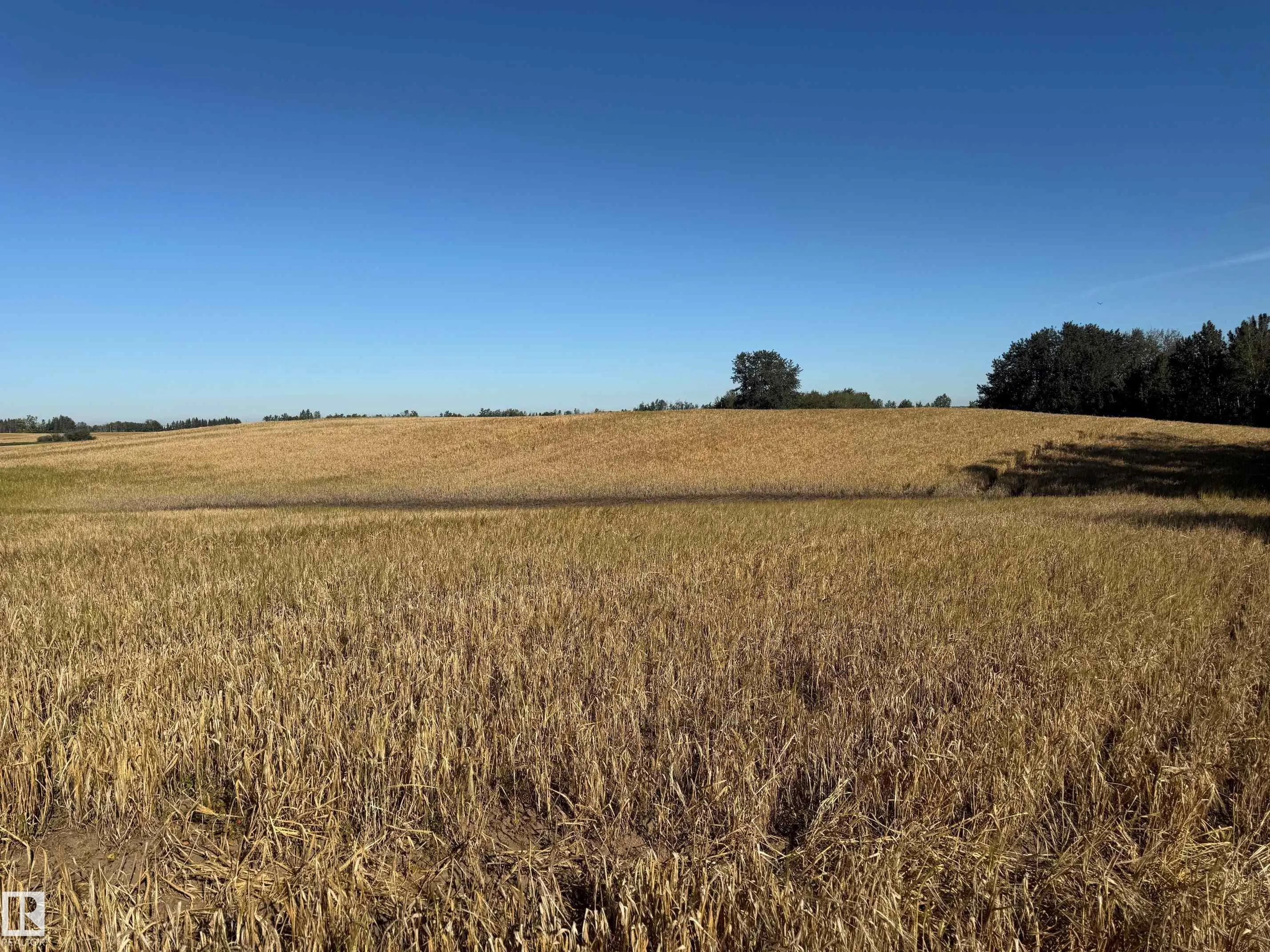 RR 205A & Twp Rd 542