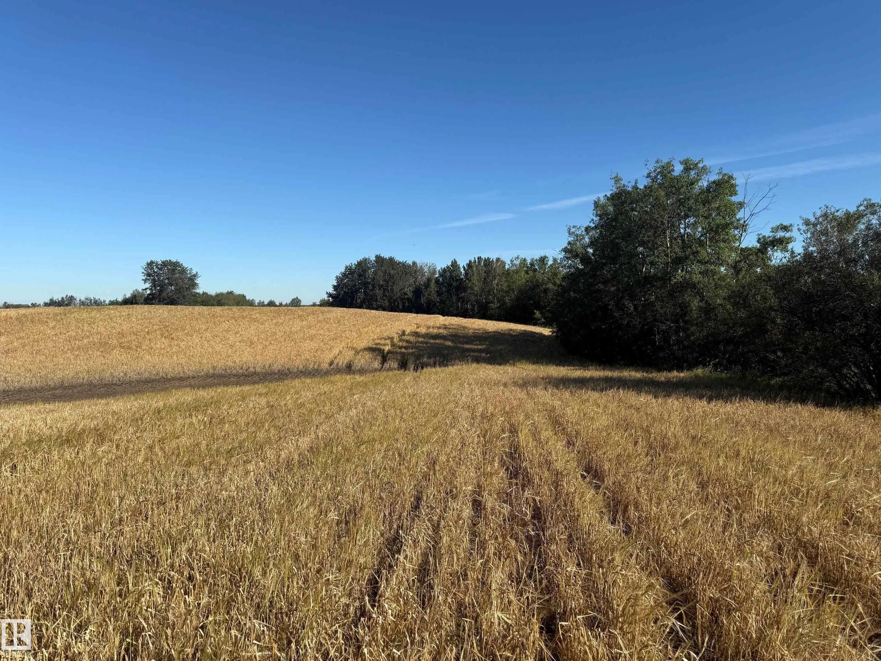RR 205A & Twp Rd 542