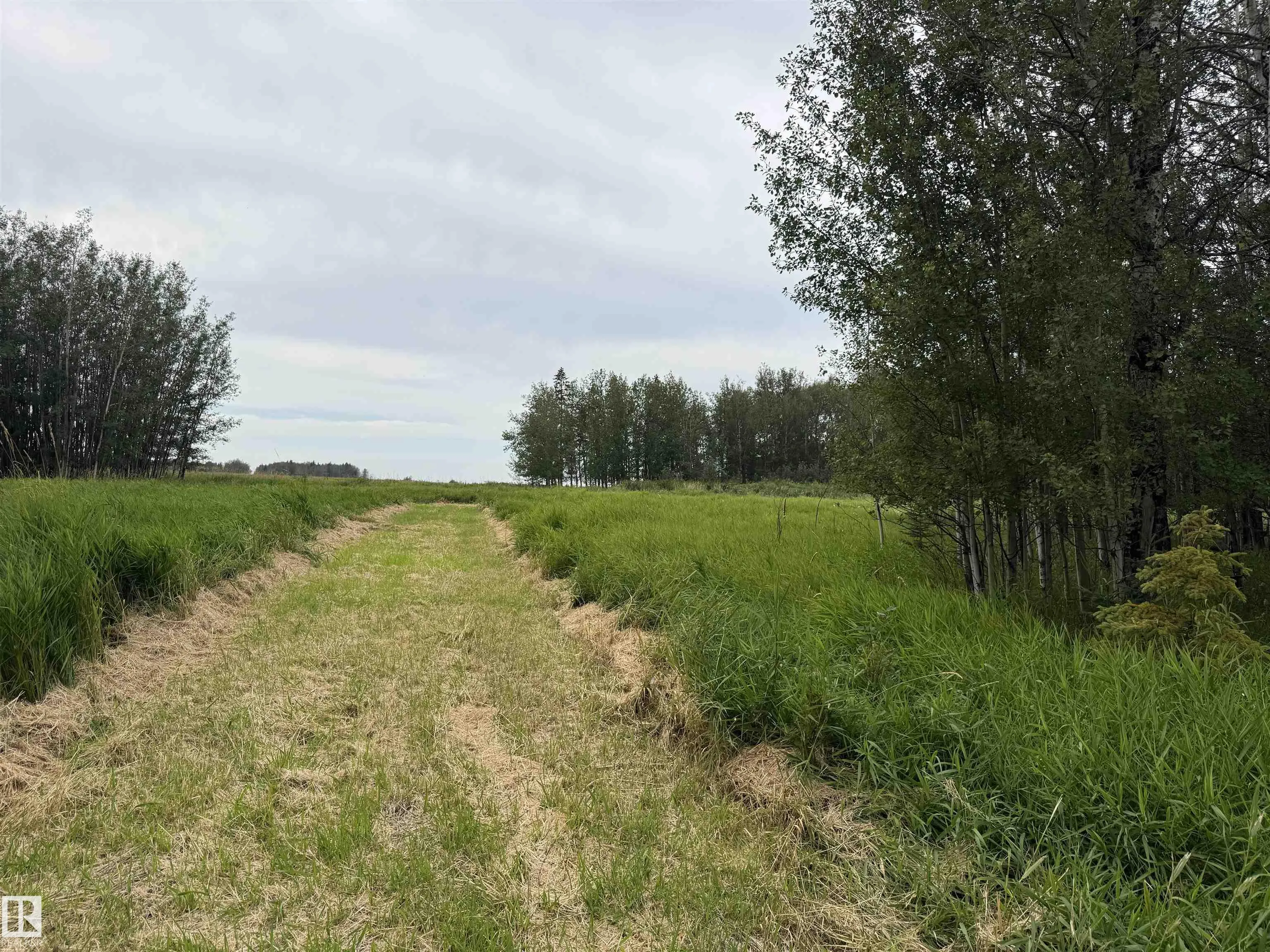 Lot 7 Buck Lake Estates