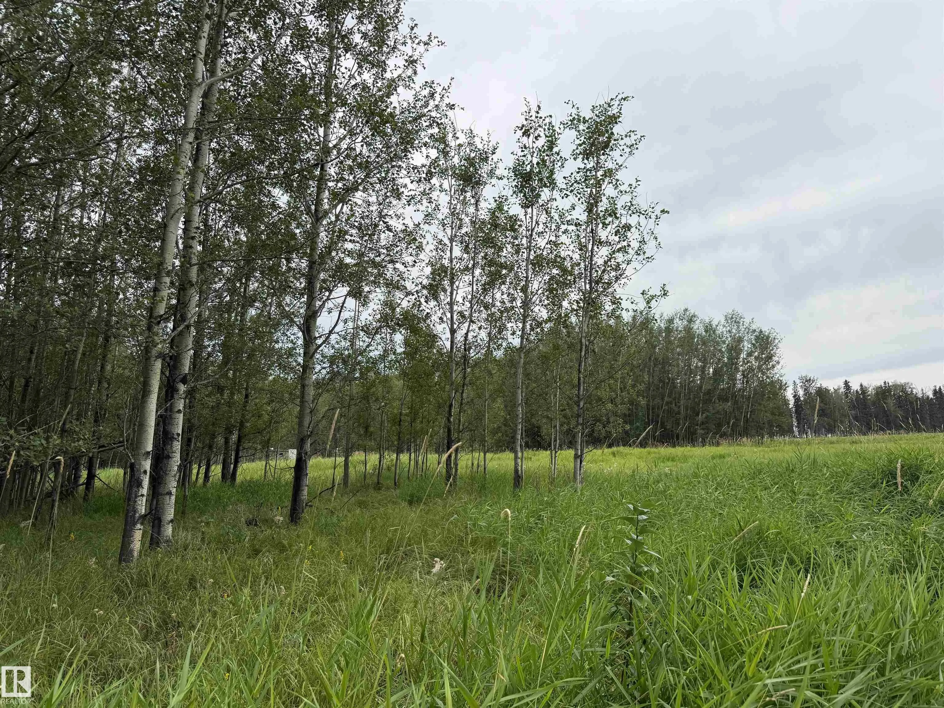 Lot 7 Buck Lake Estates