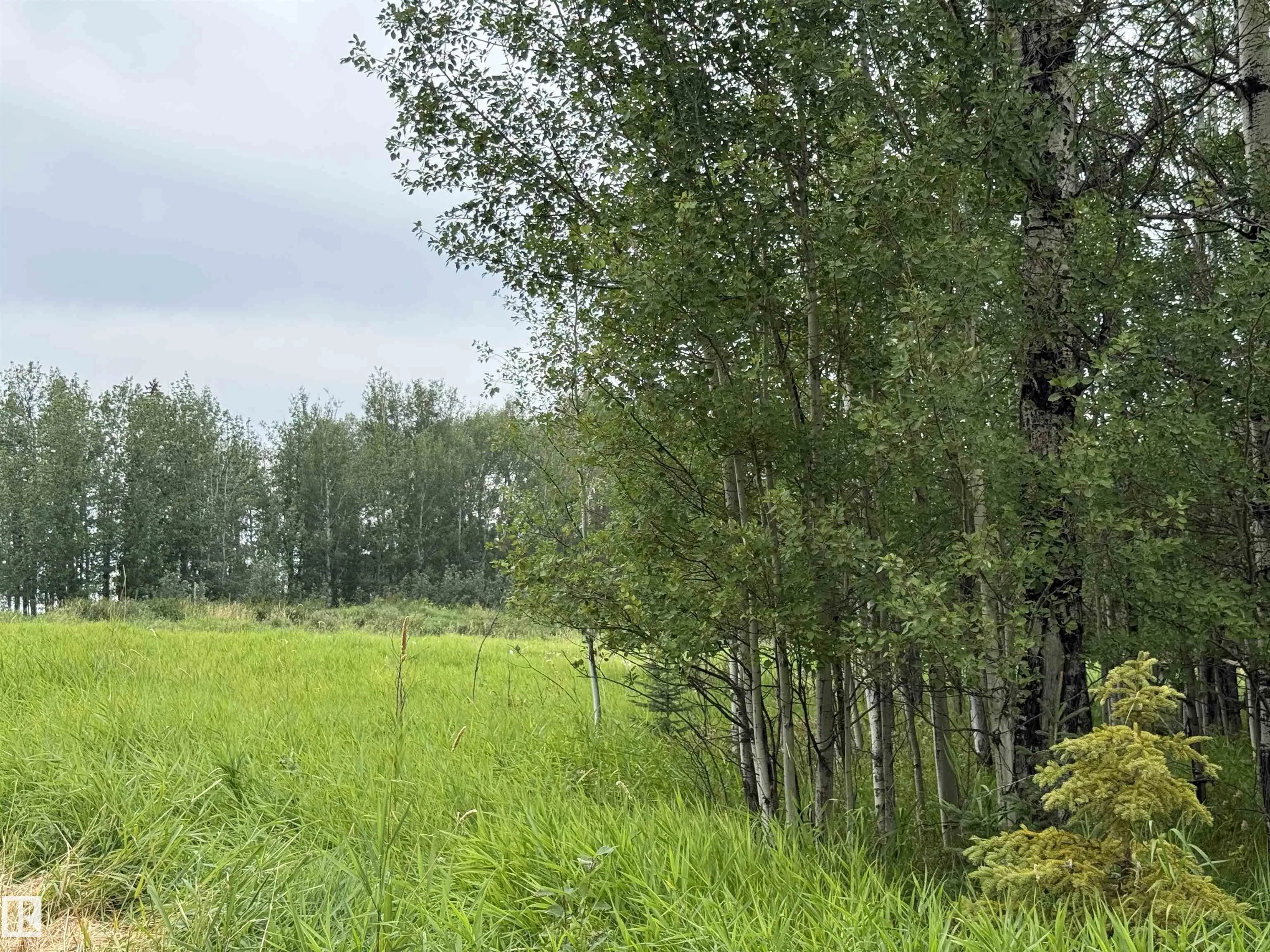 Lot 7 Buck Lake Estates
