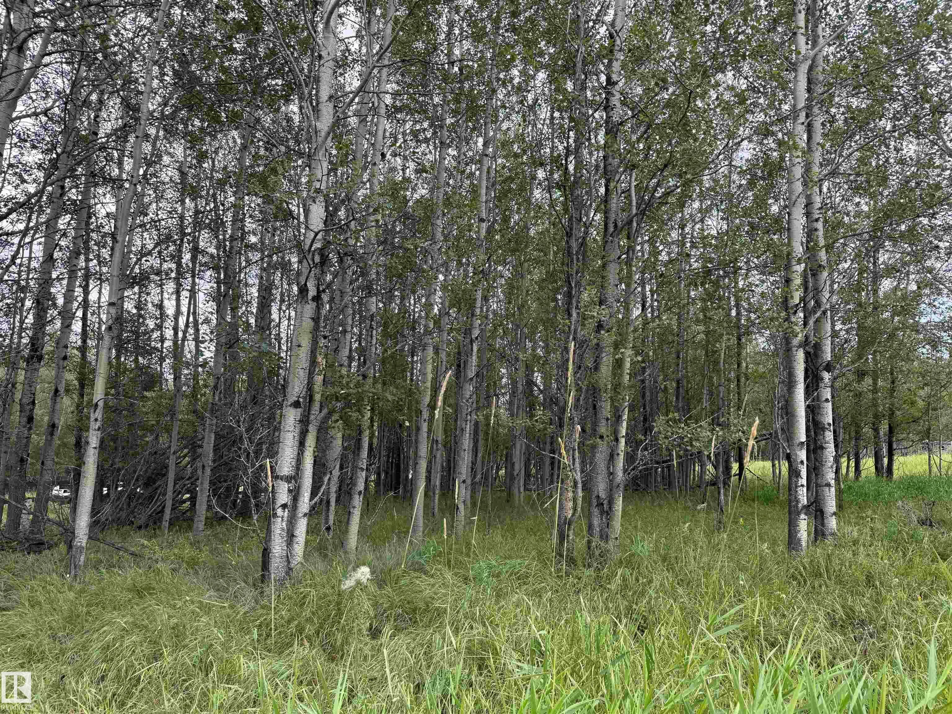 Lot 7 Buck Lake Estates