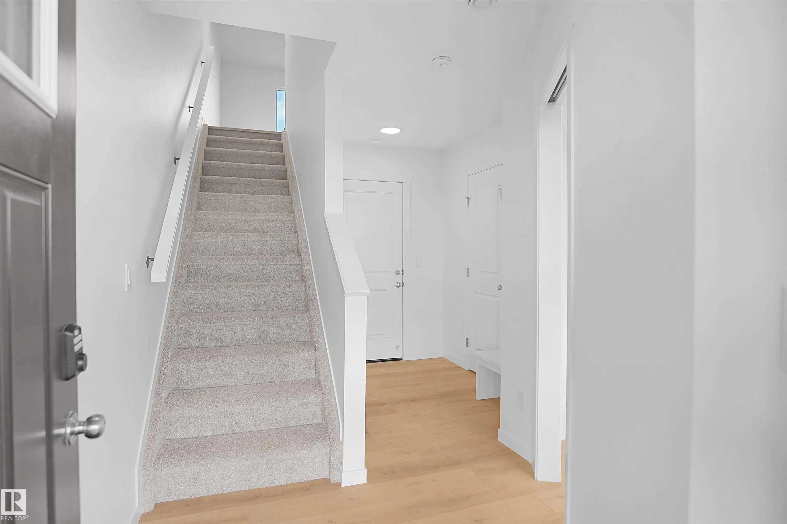 533 ASTER Drive
