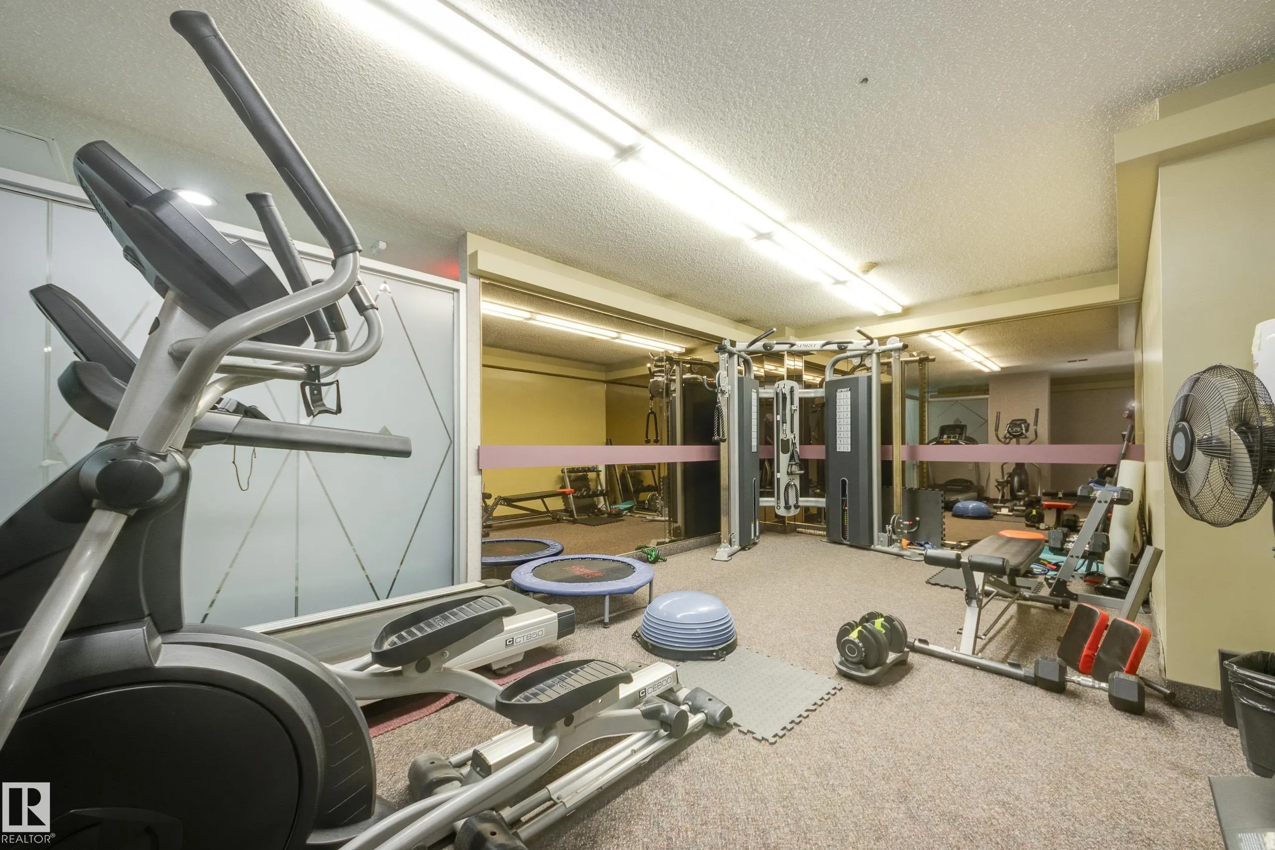 10135 SASKATCHEWAN Drive