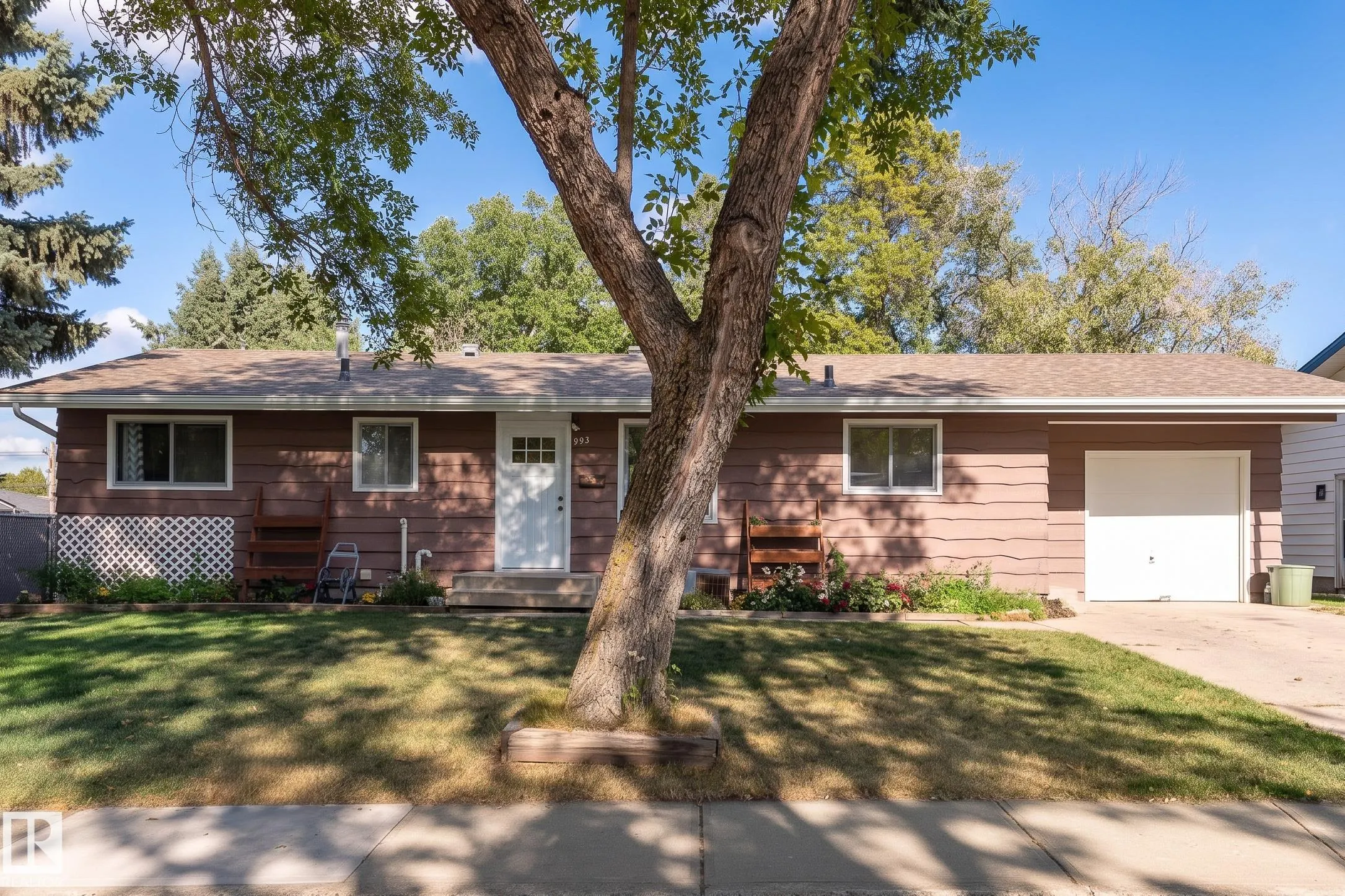 993 Cedar Street