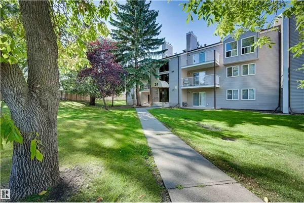 24 ALPINE Place