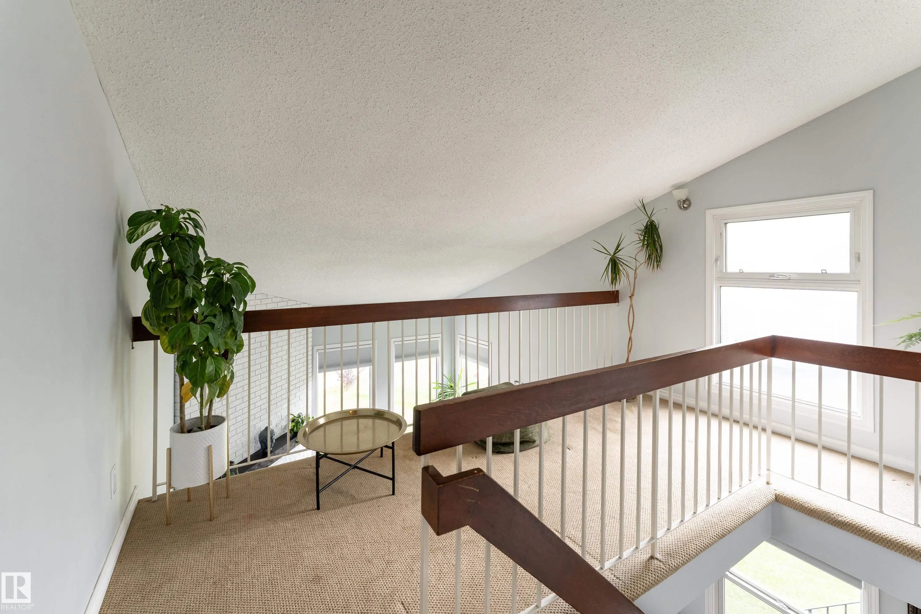 11 PATTERSON Crescent