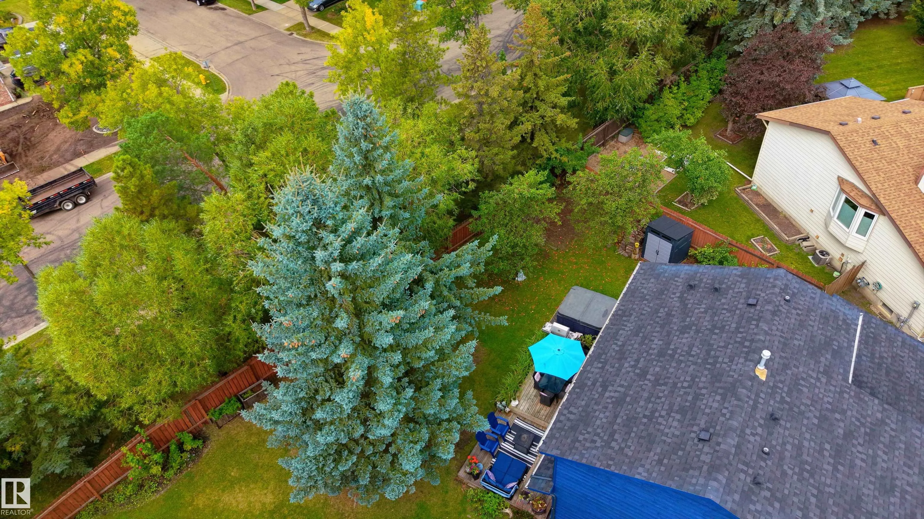 11 PATTERSON Crescent