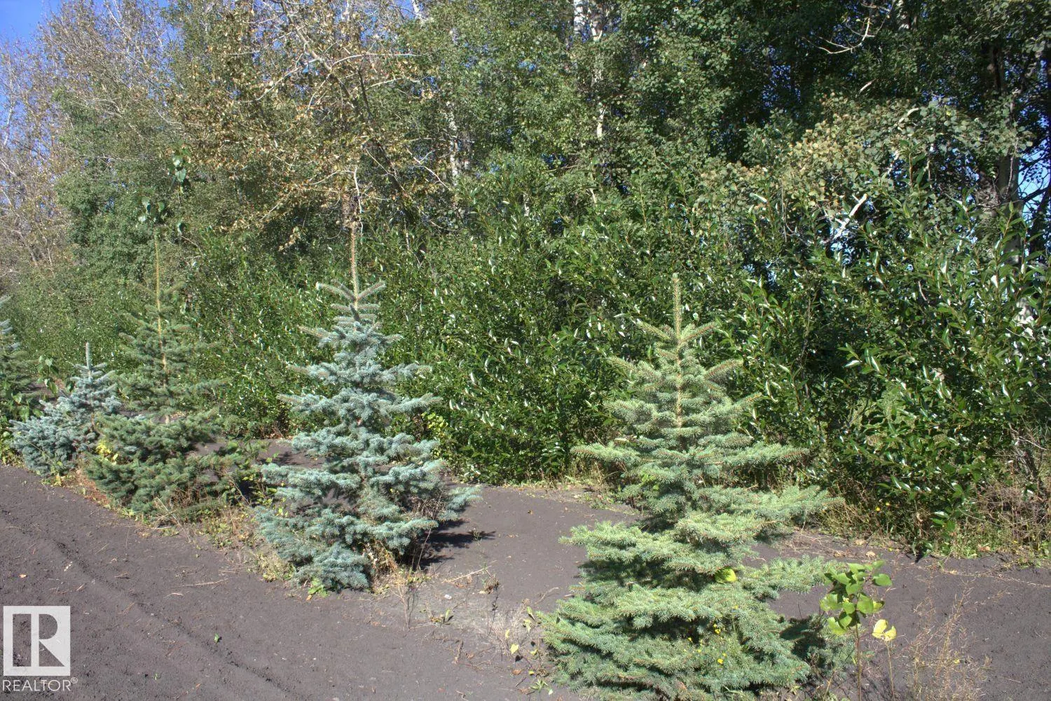 Twp Rd 610 Rg Rd 253