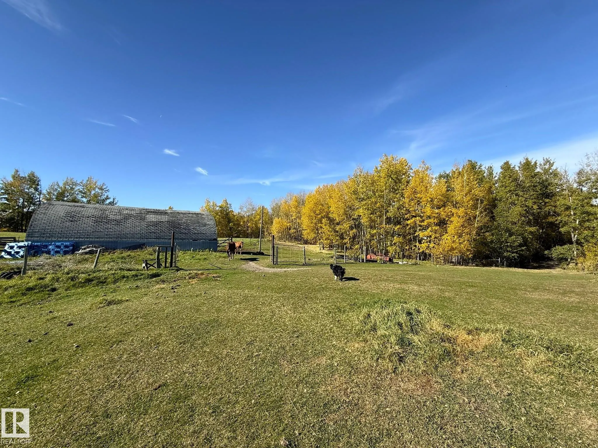 474009 RGE ROAD 10