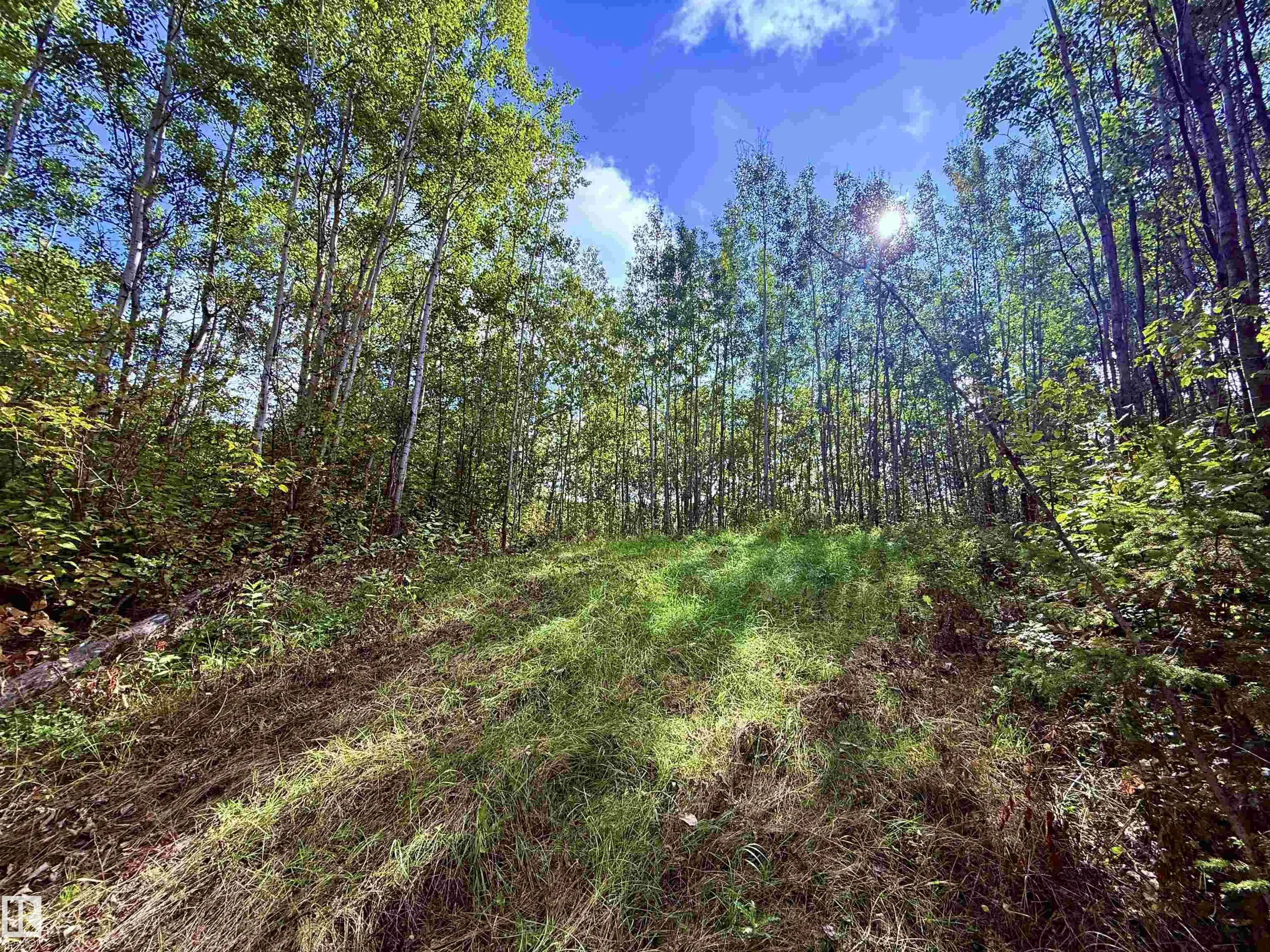 51248 RGE ROAD 231