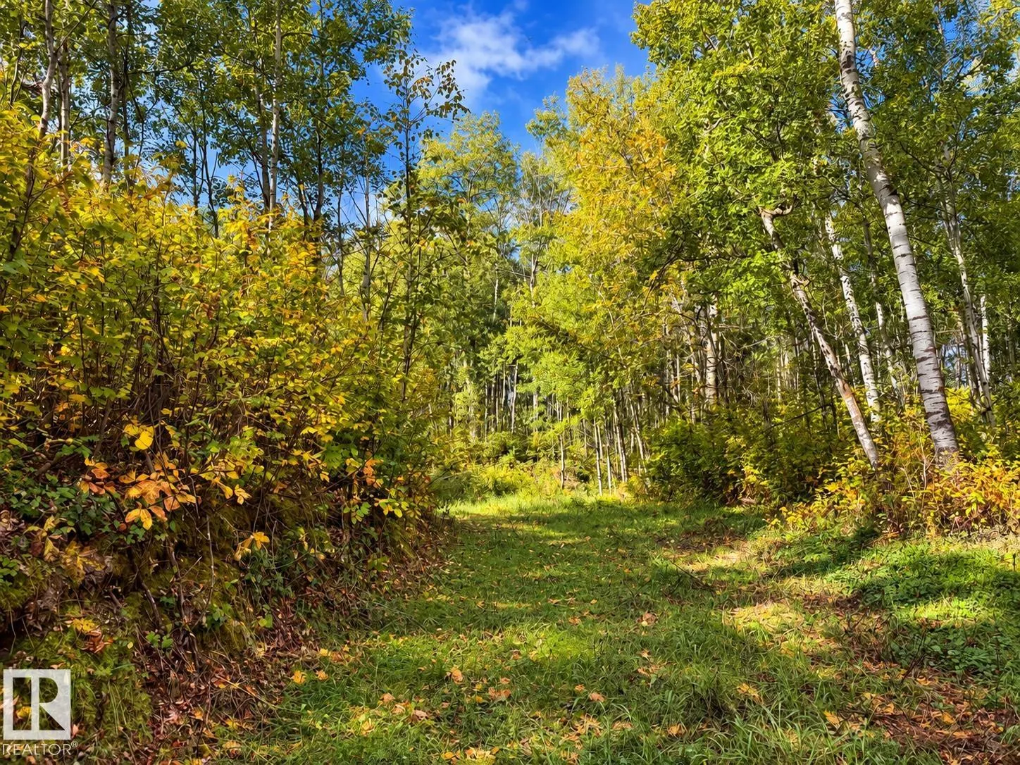 51248 RGE ROAD 231