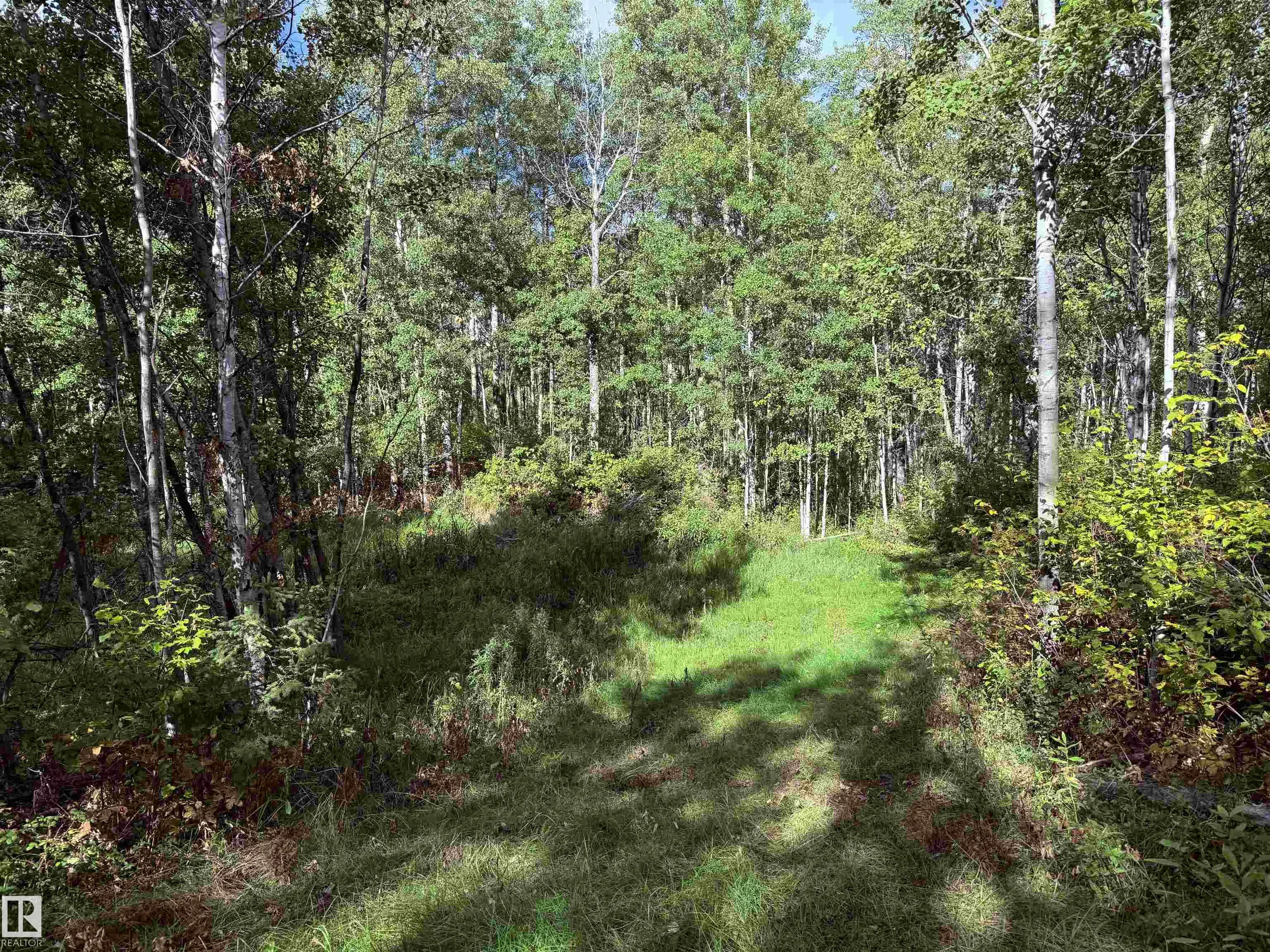 51248 RGE ROAD 231