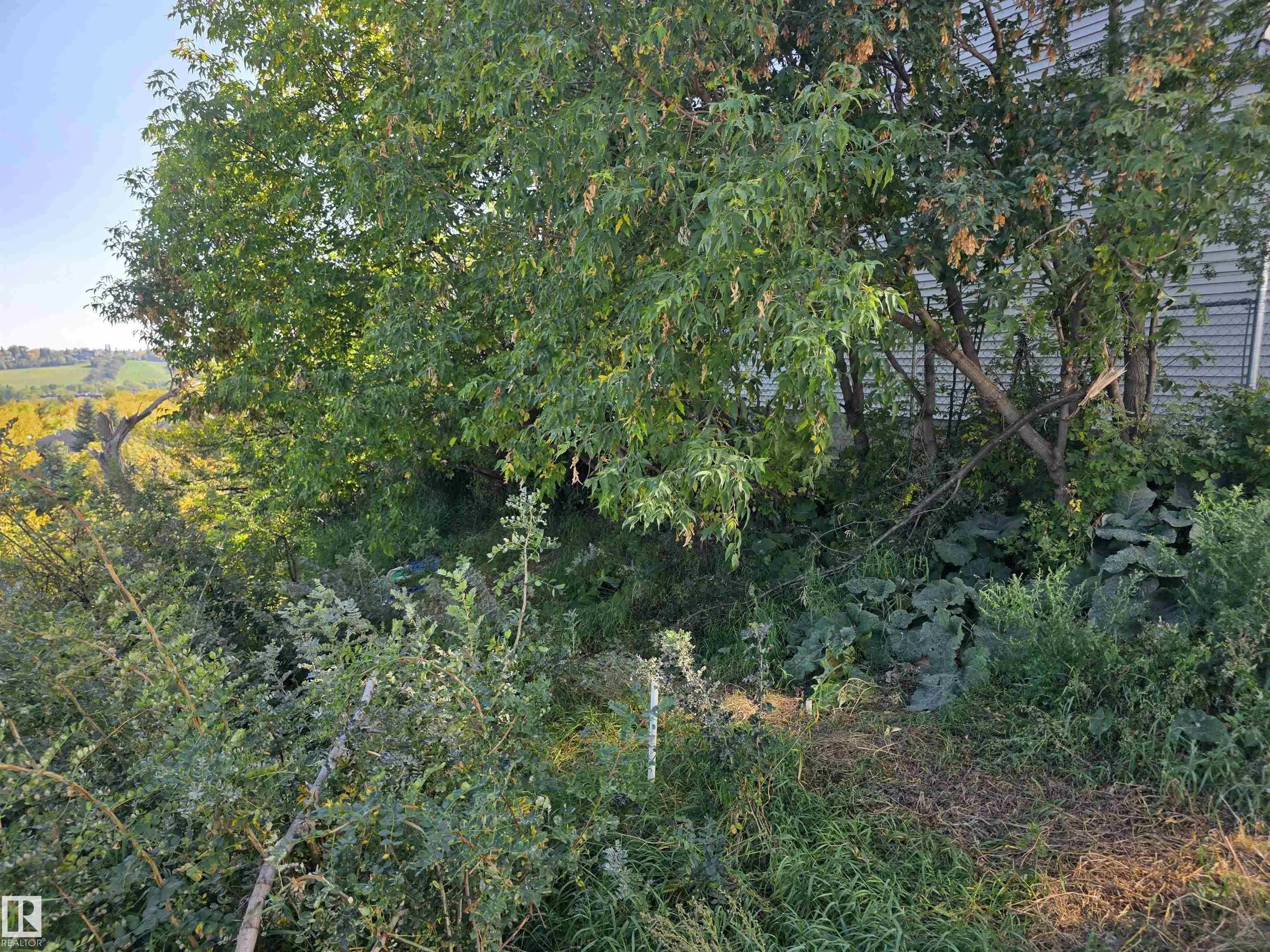 9321 101A Avenue