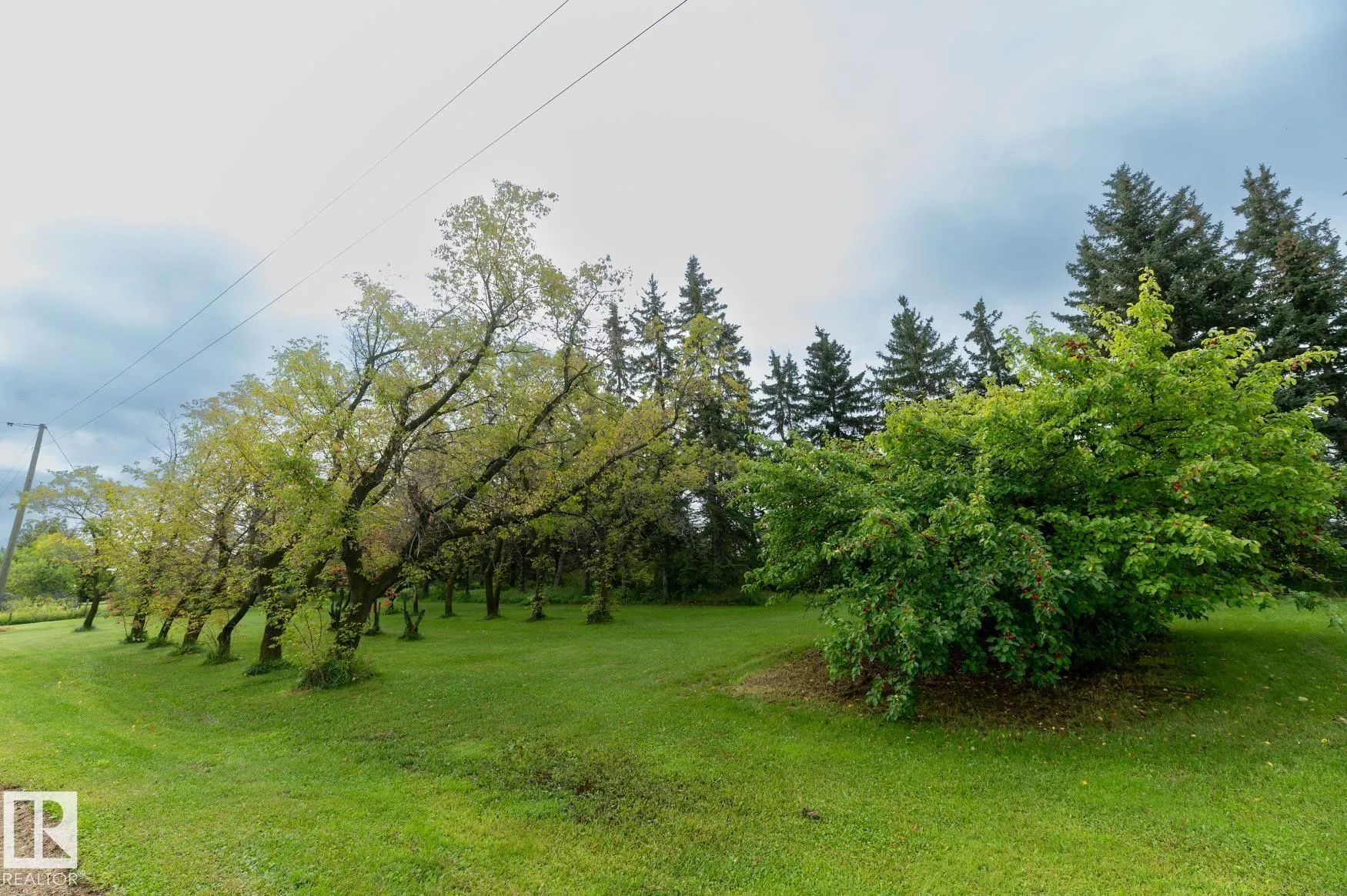 57514 Rge Rd  223