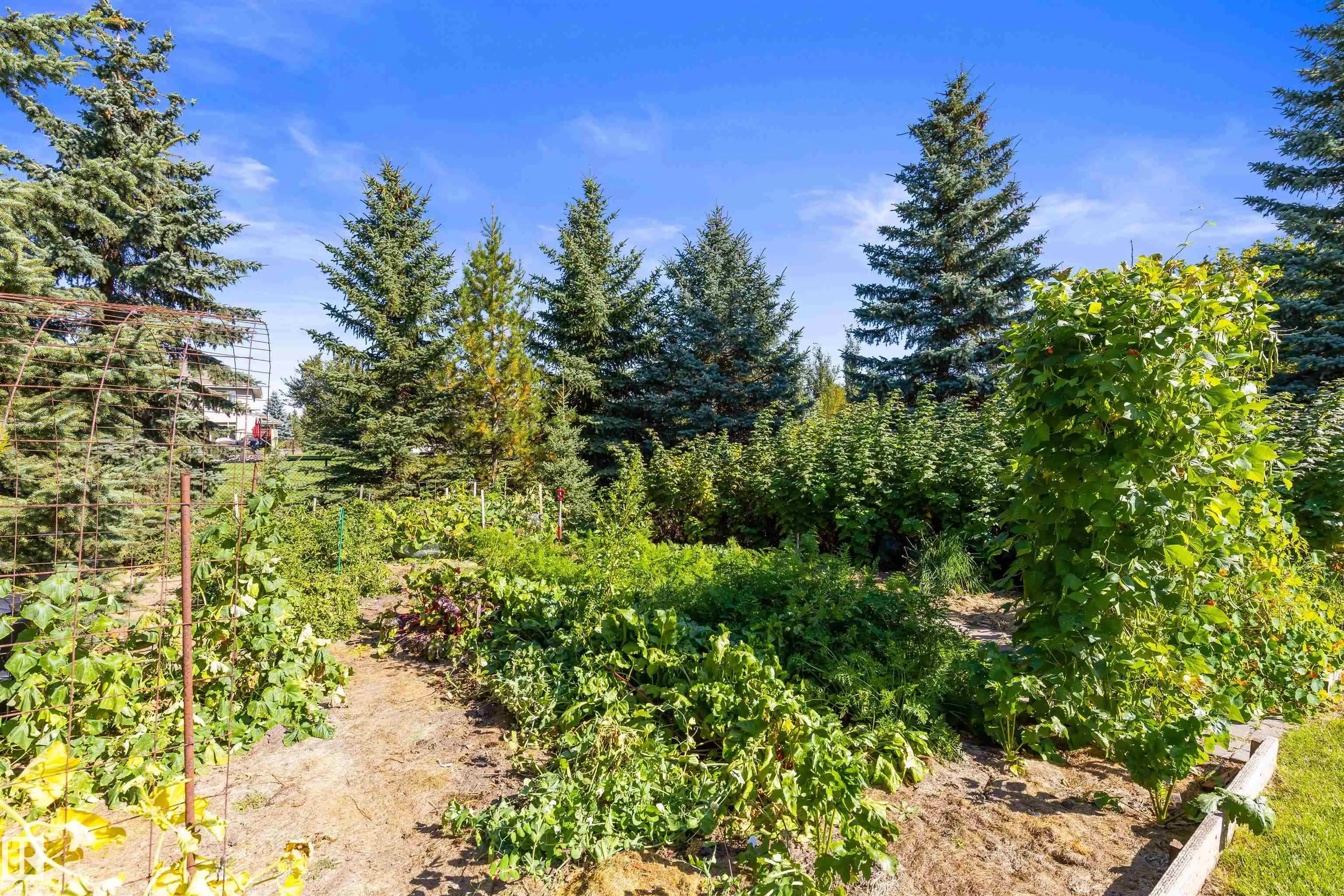 54418 RGE ROAD 251