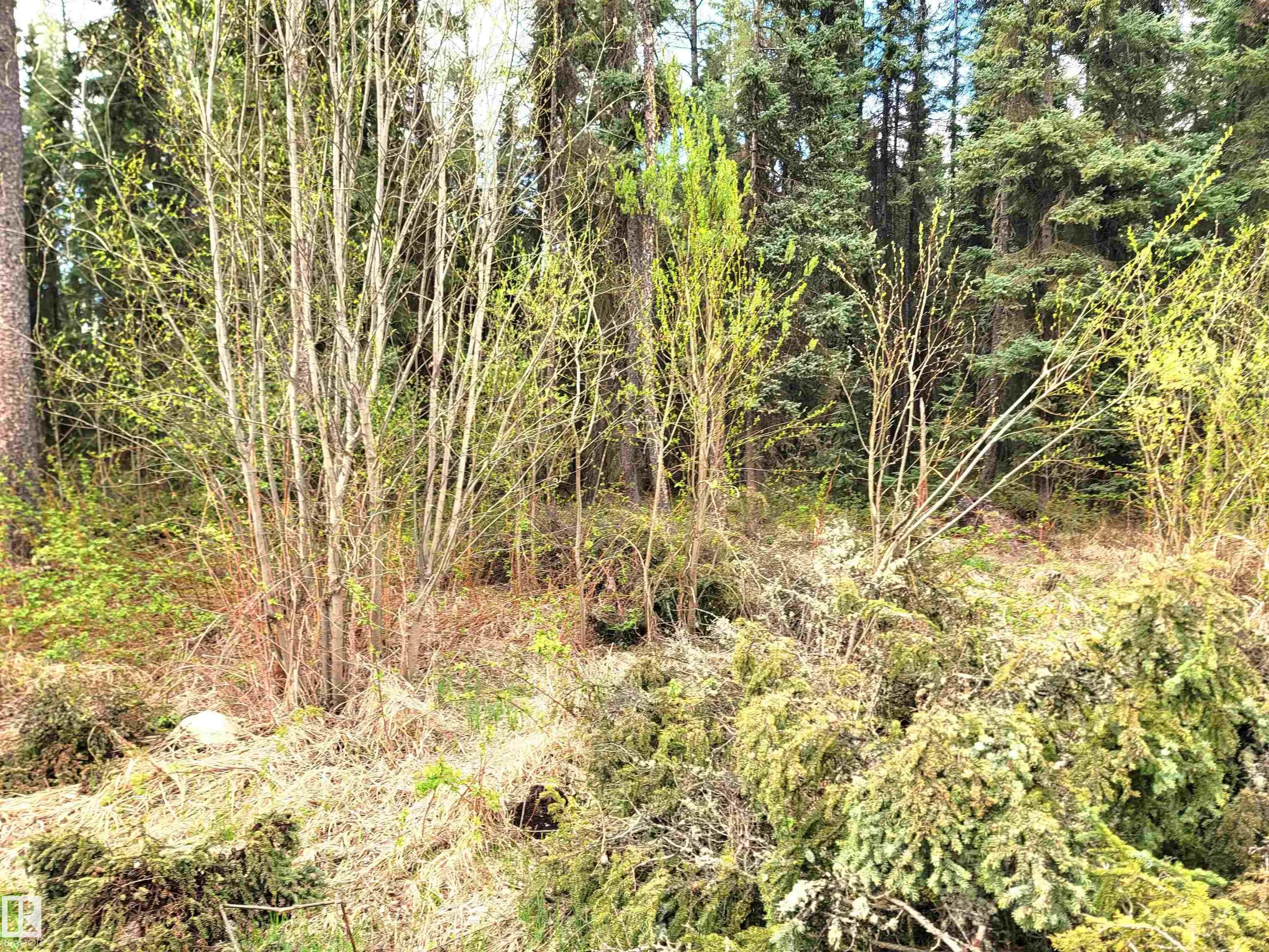 624072 RGE ROAD 241