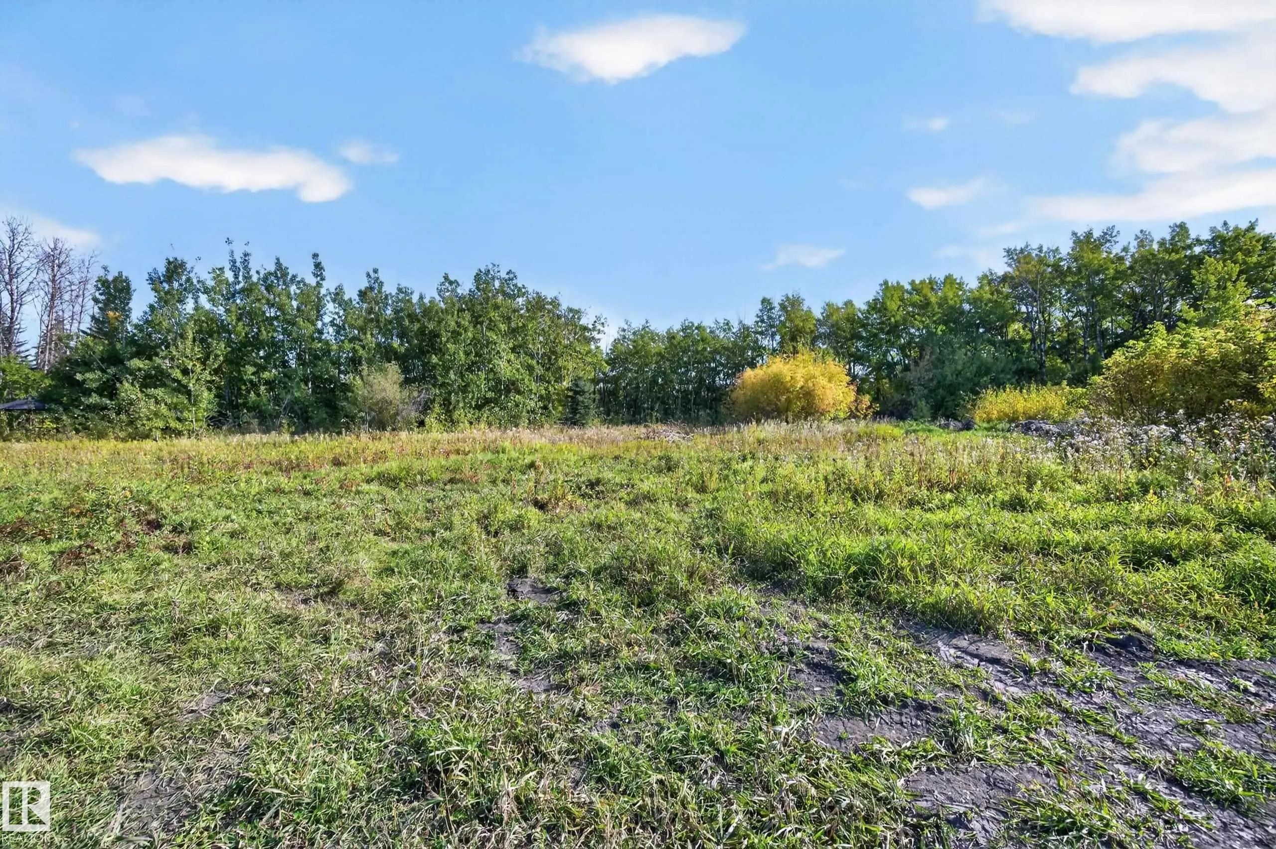 53068 RGE ROAD 222