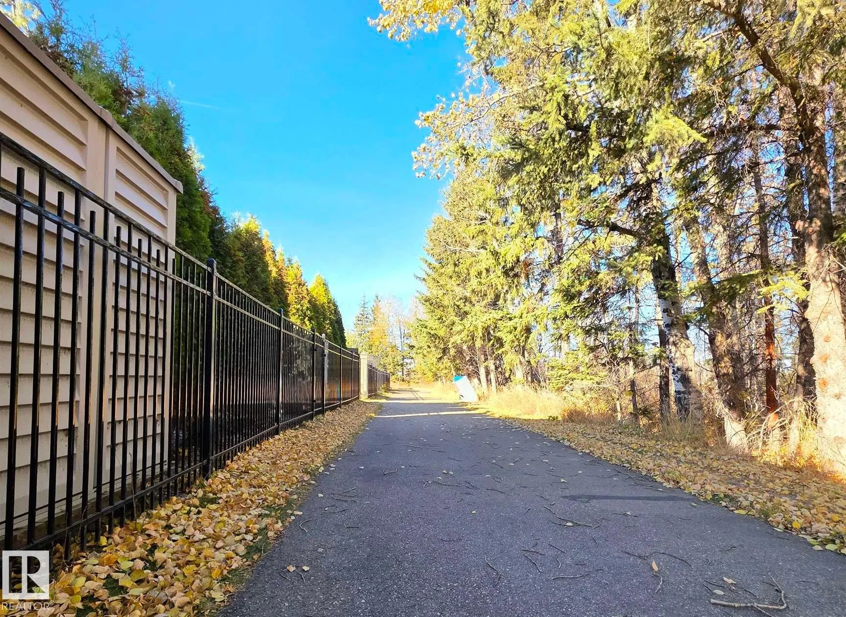 223 RAVINE Drive