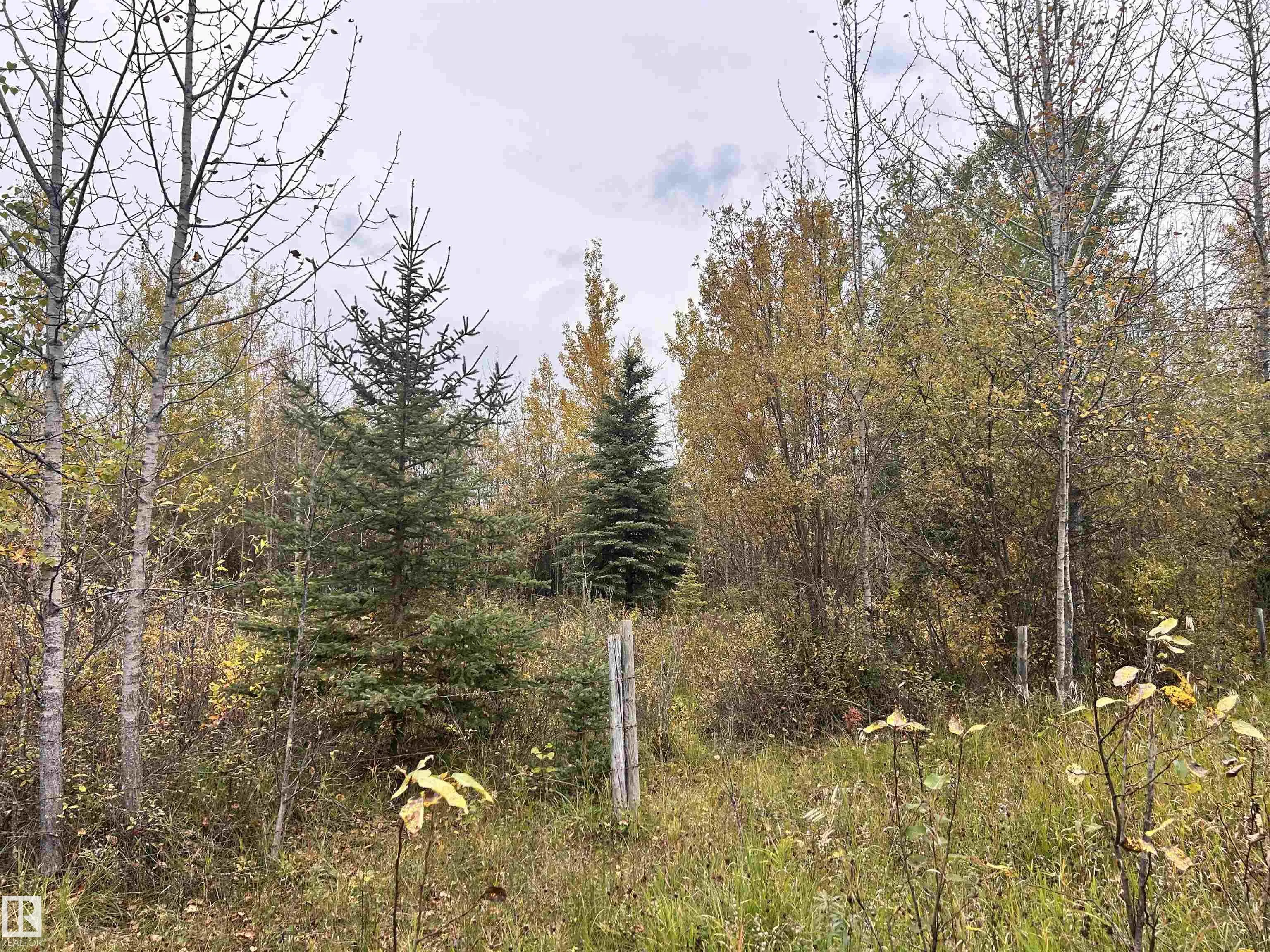 TWP 625 RR 210