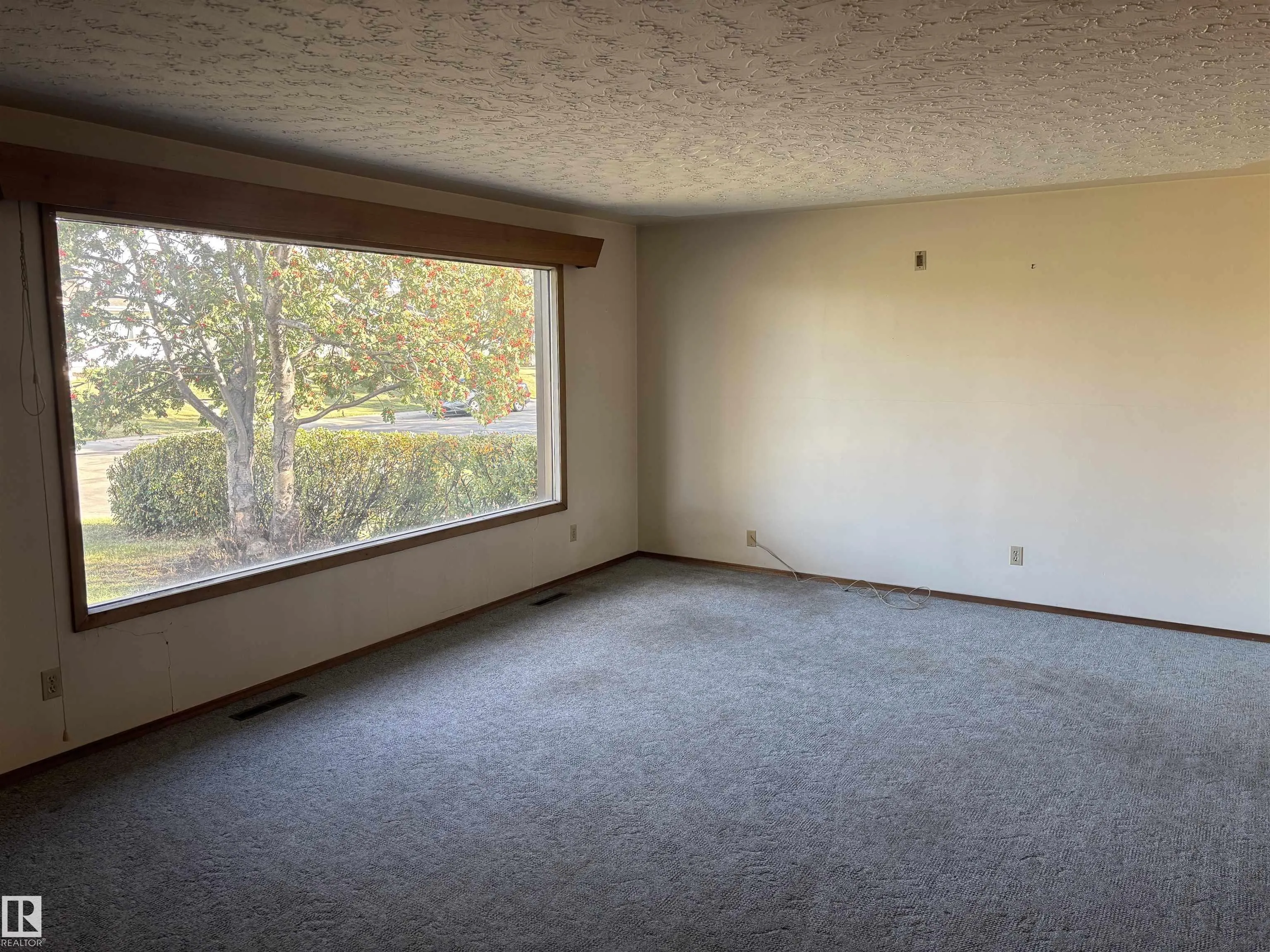 13524 92 st