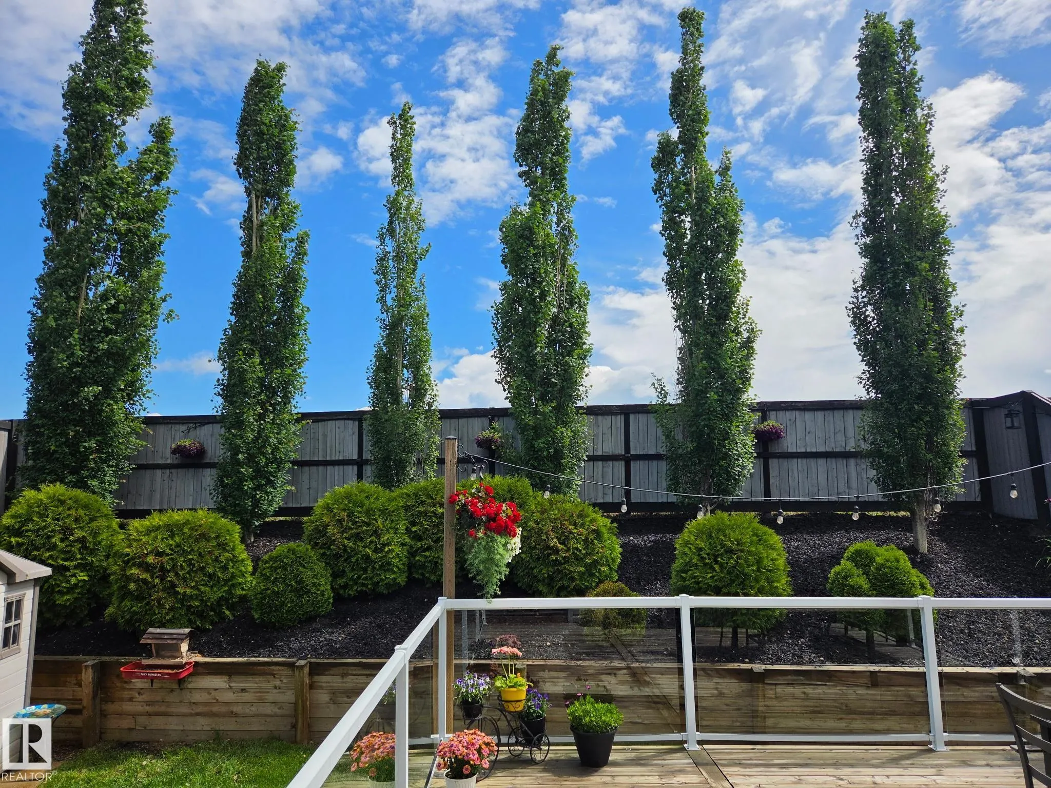 484 FOXTAIL Court