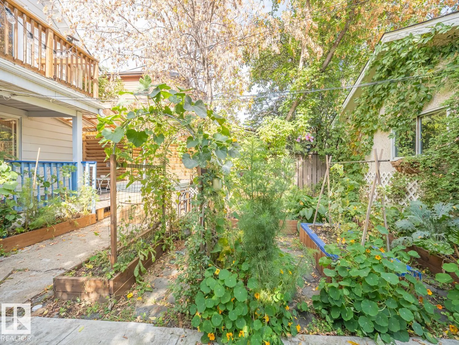 11409 94 Street
