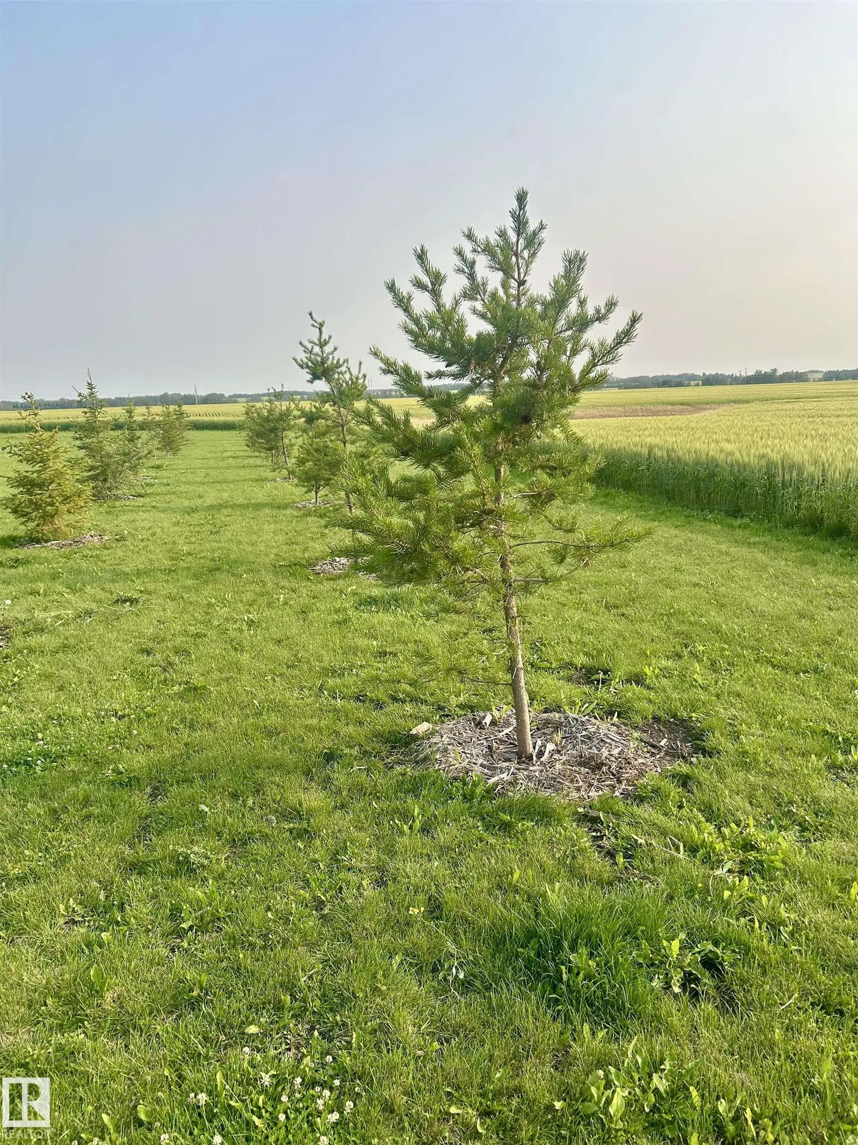 24223 Township Road 502