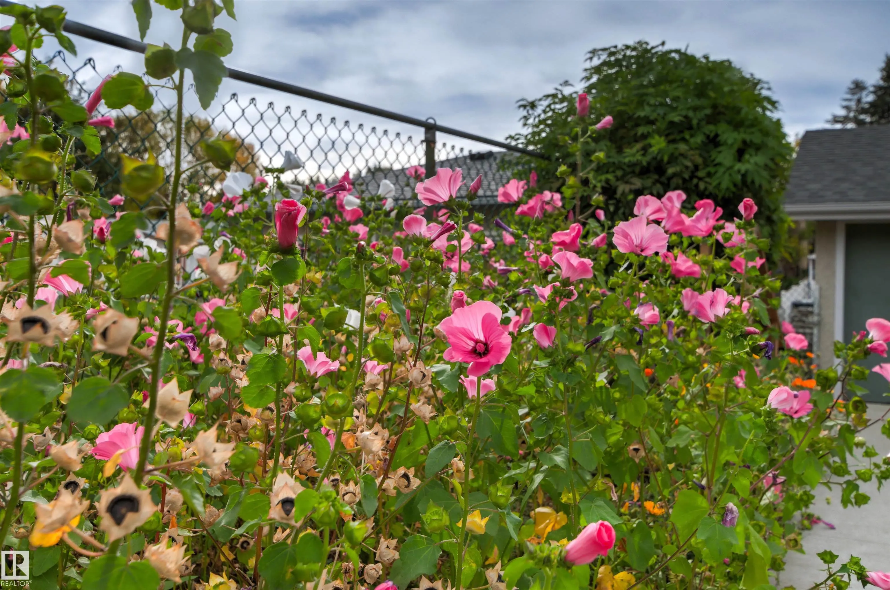 7211 140 Avenue