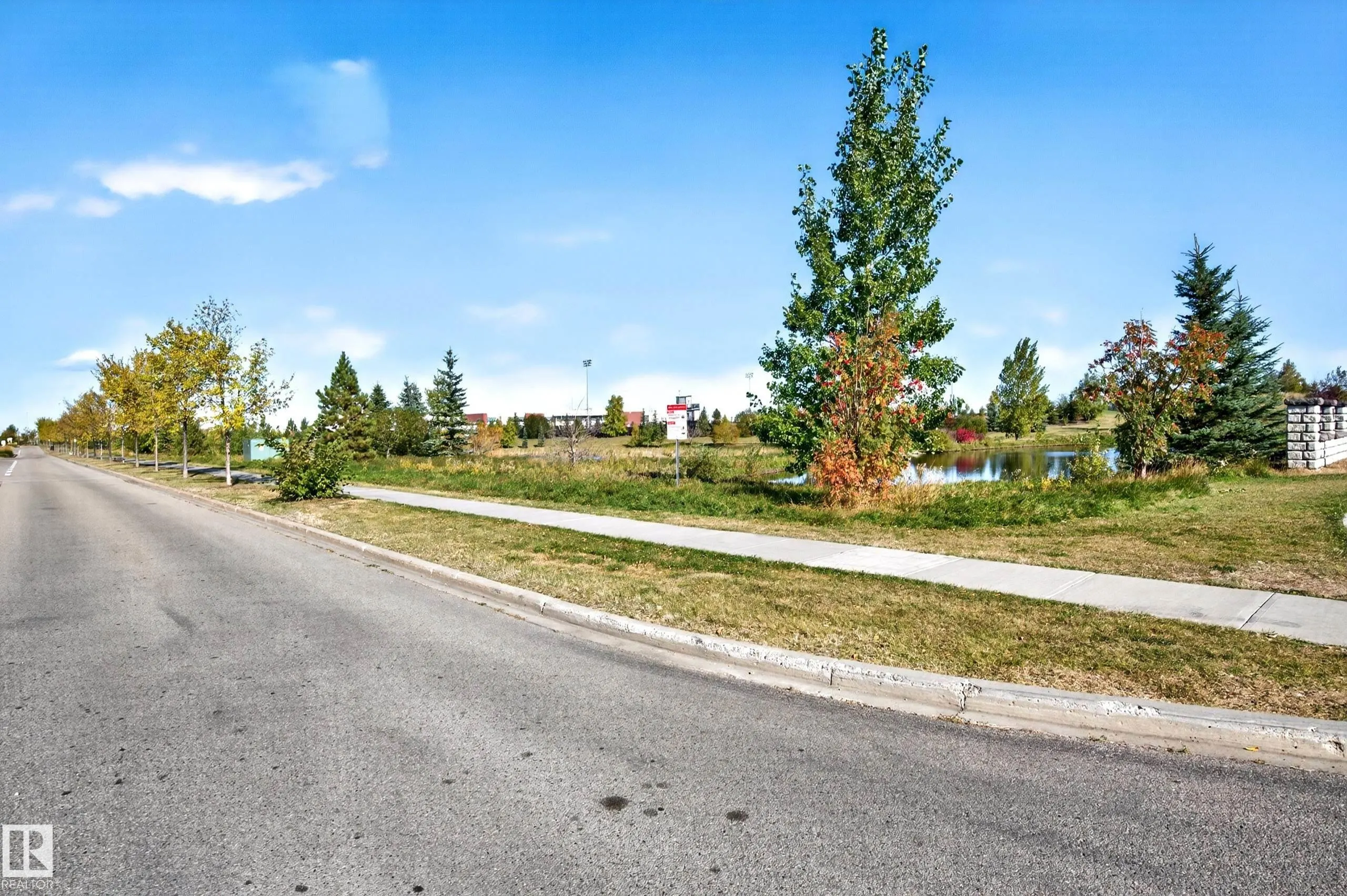 50 EBONY Boulevard