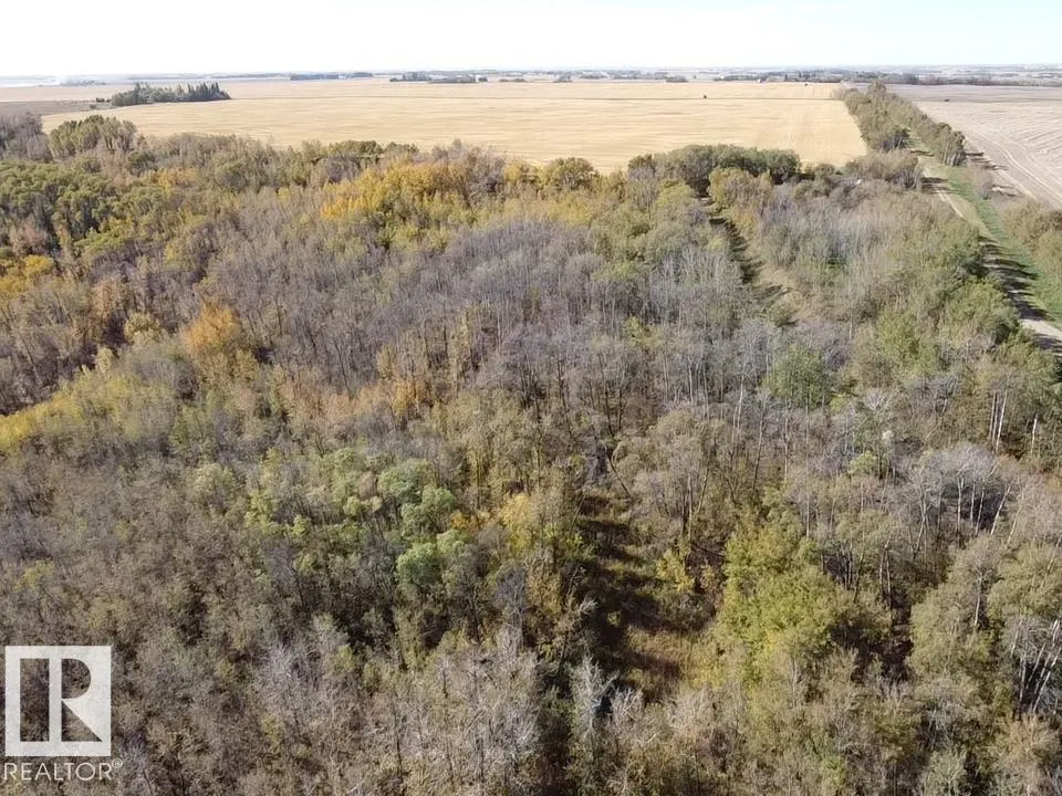 Twp Rd 460 and Rge Rd 230