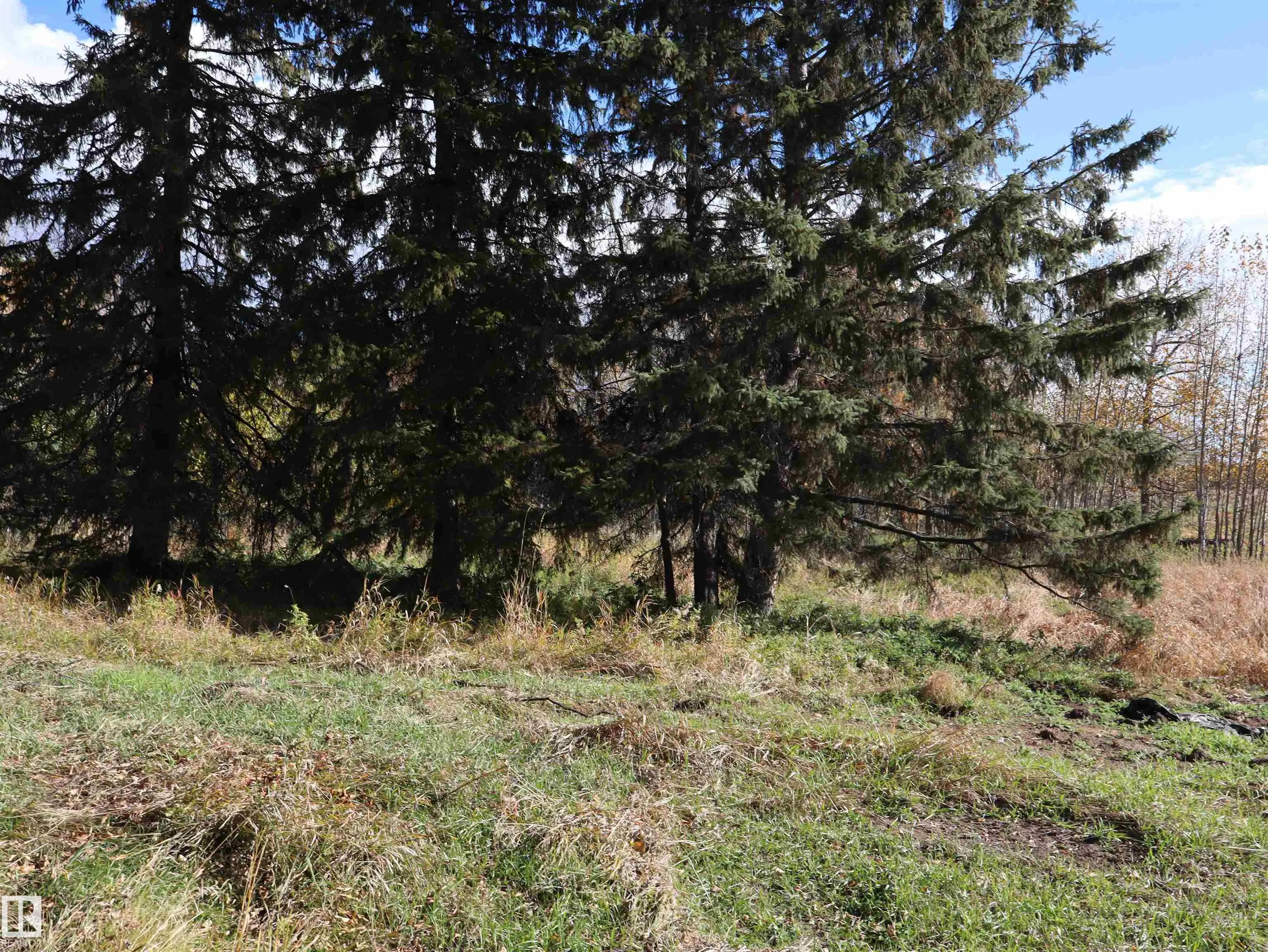 61229 RGE RD 51