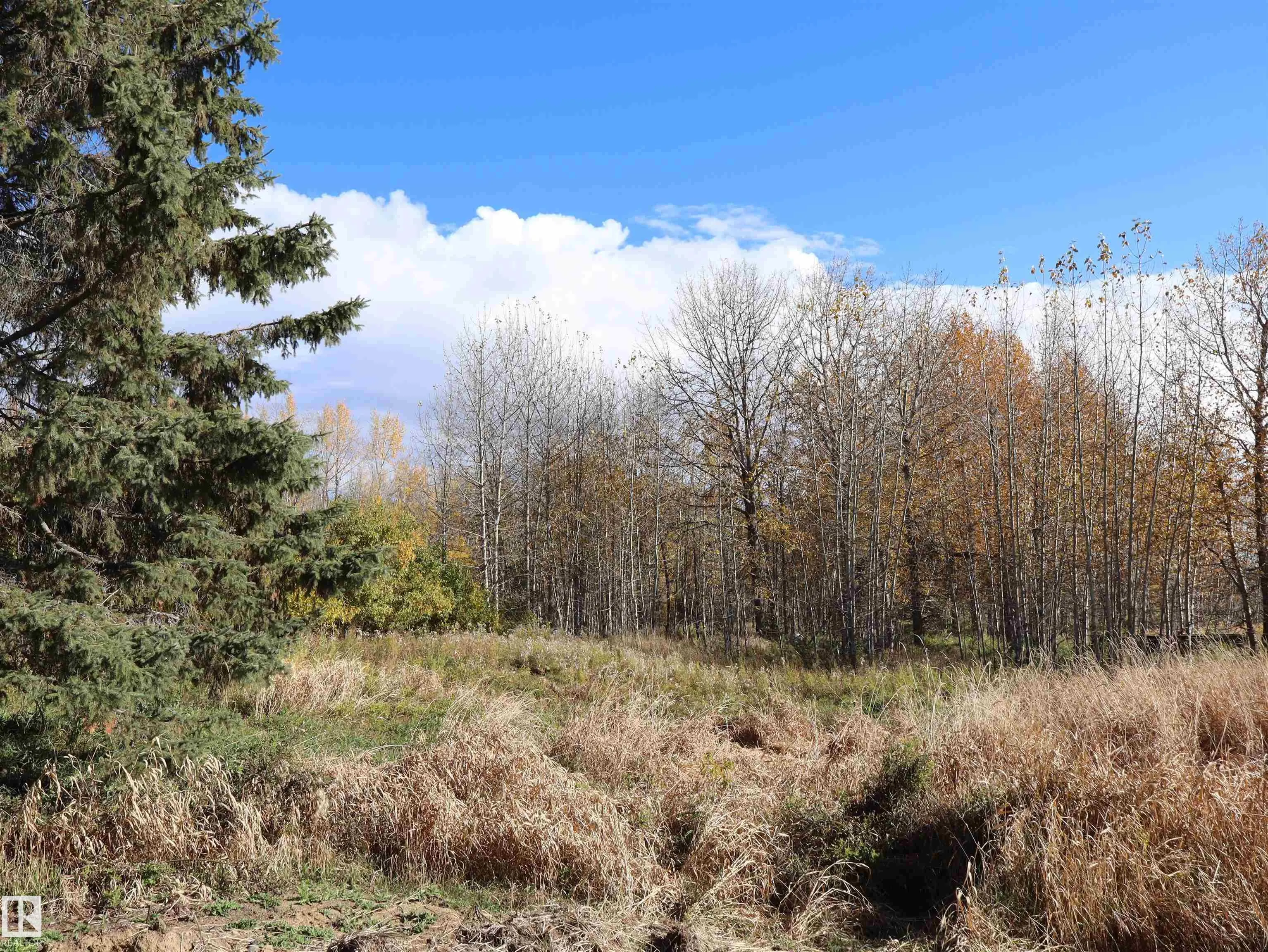 61229 RGE RD 51