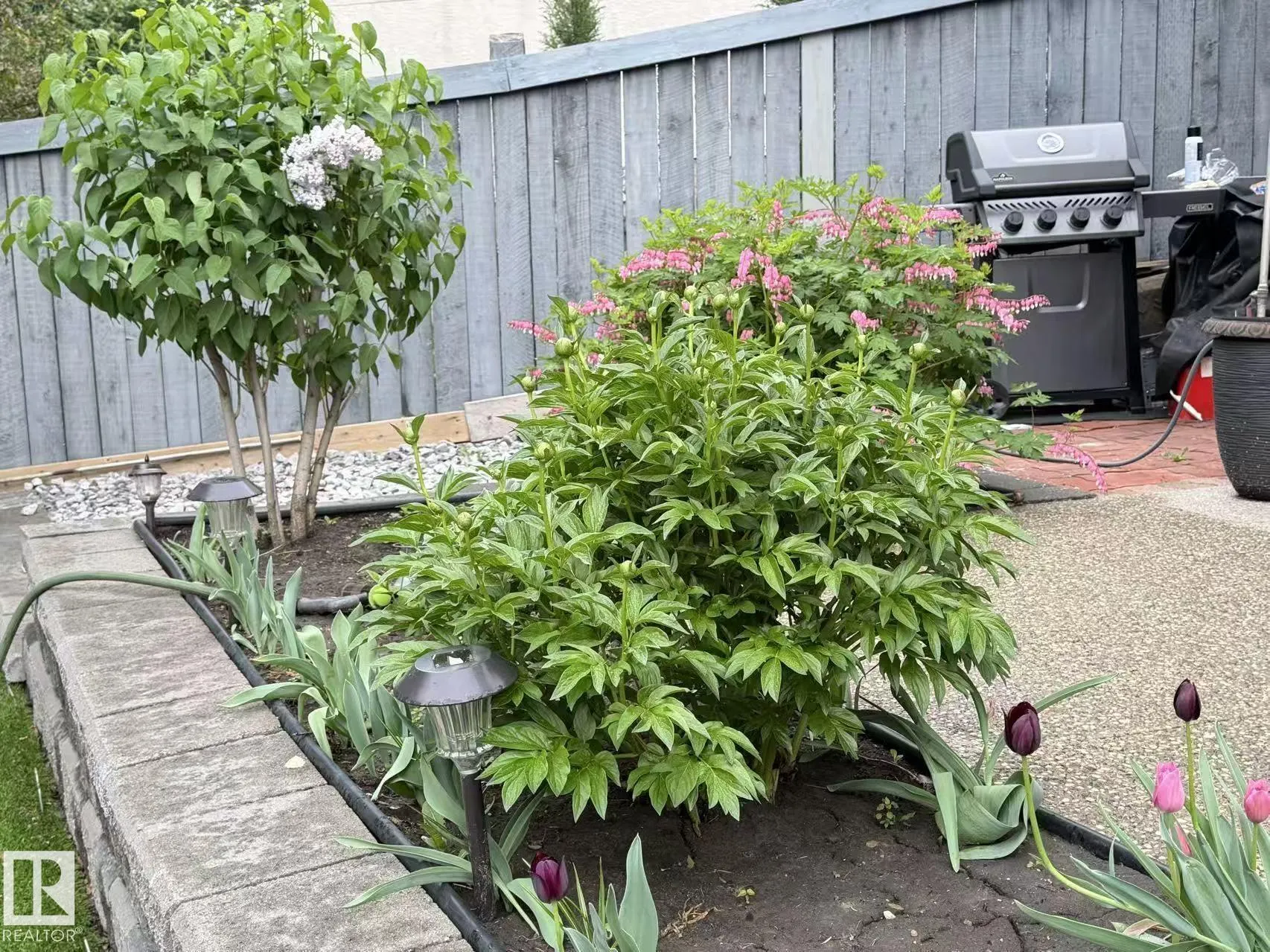 2412 TEGLER GREEN