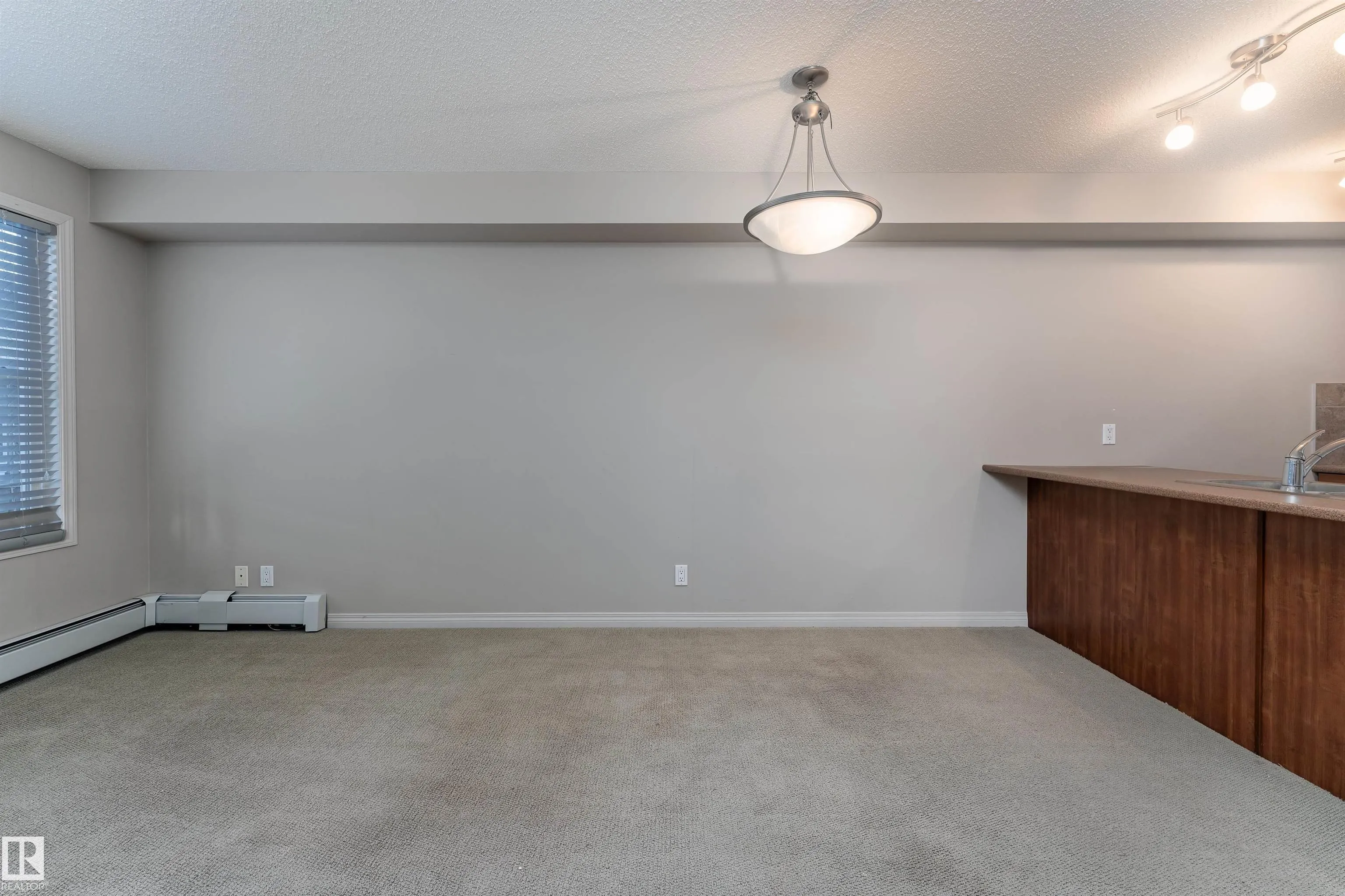105 AMBLESIDE Drive