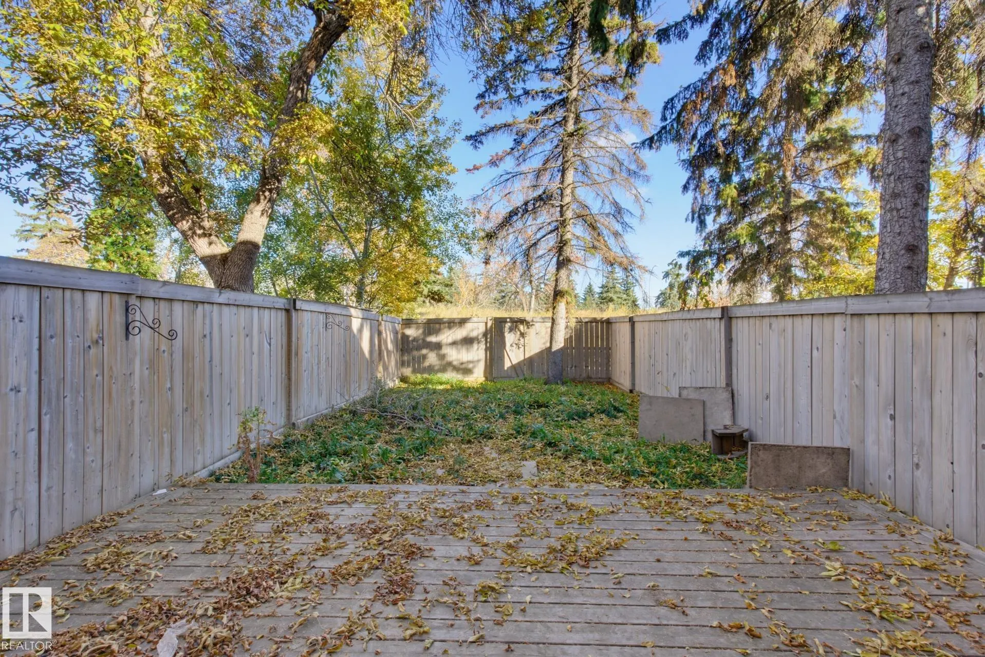 133 WOODSTOCK