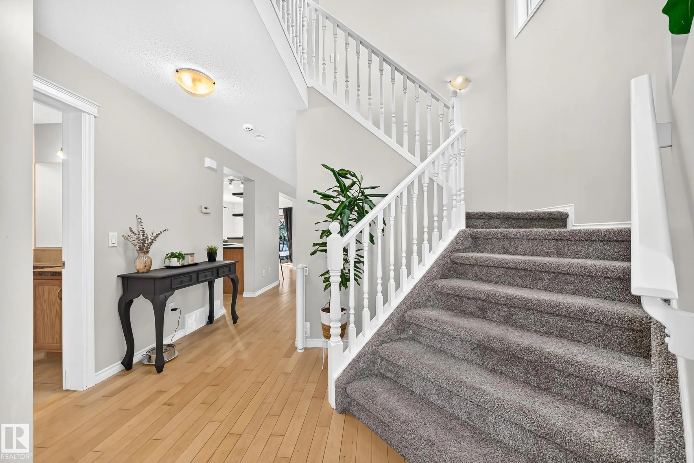 17 Virginia Loop