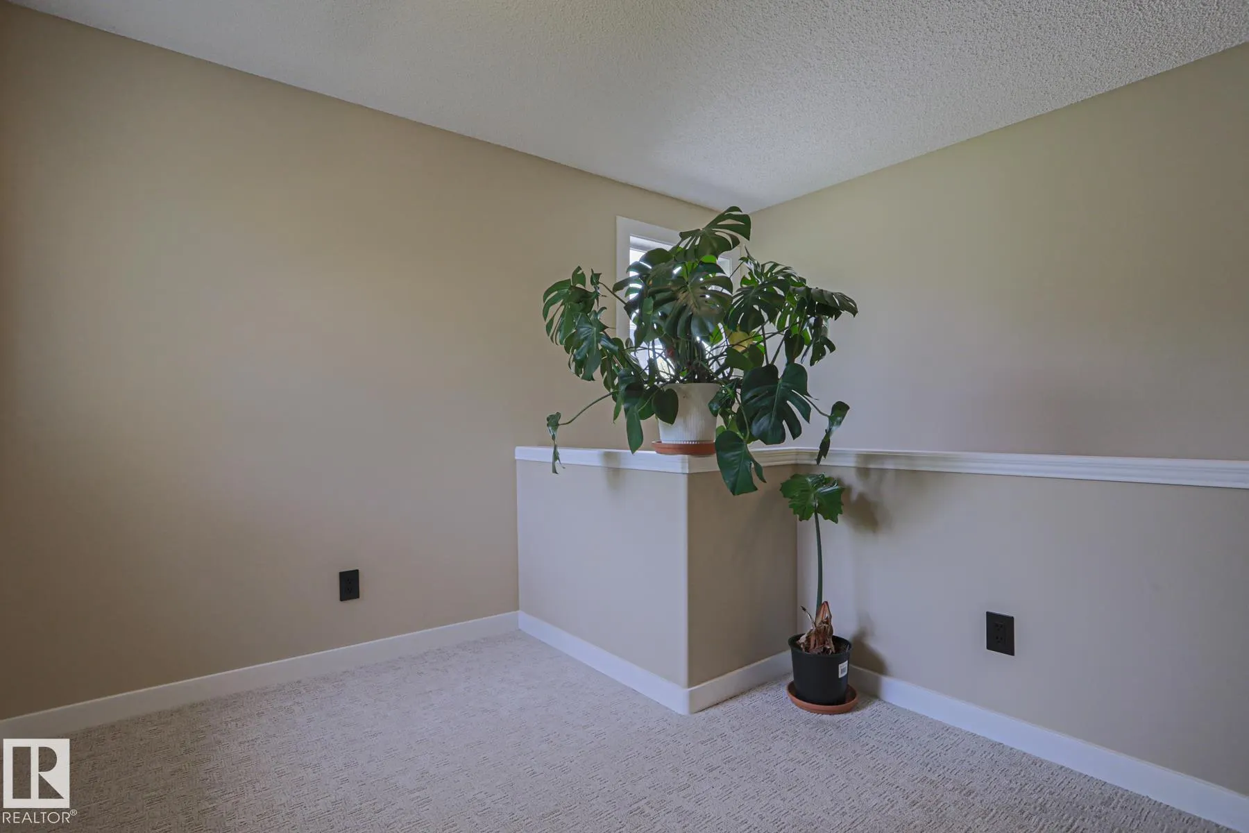 8 Erinwoods Place