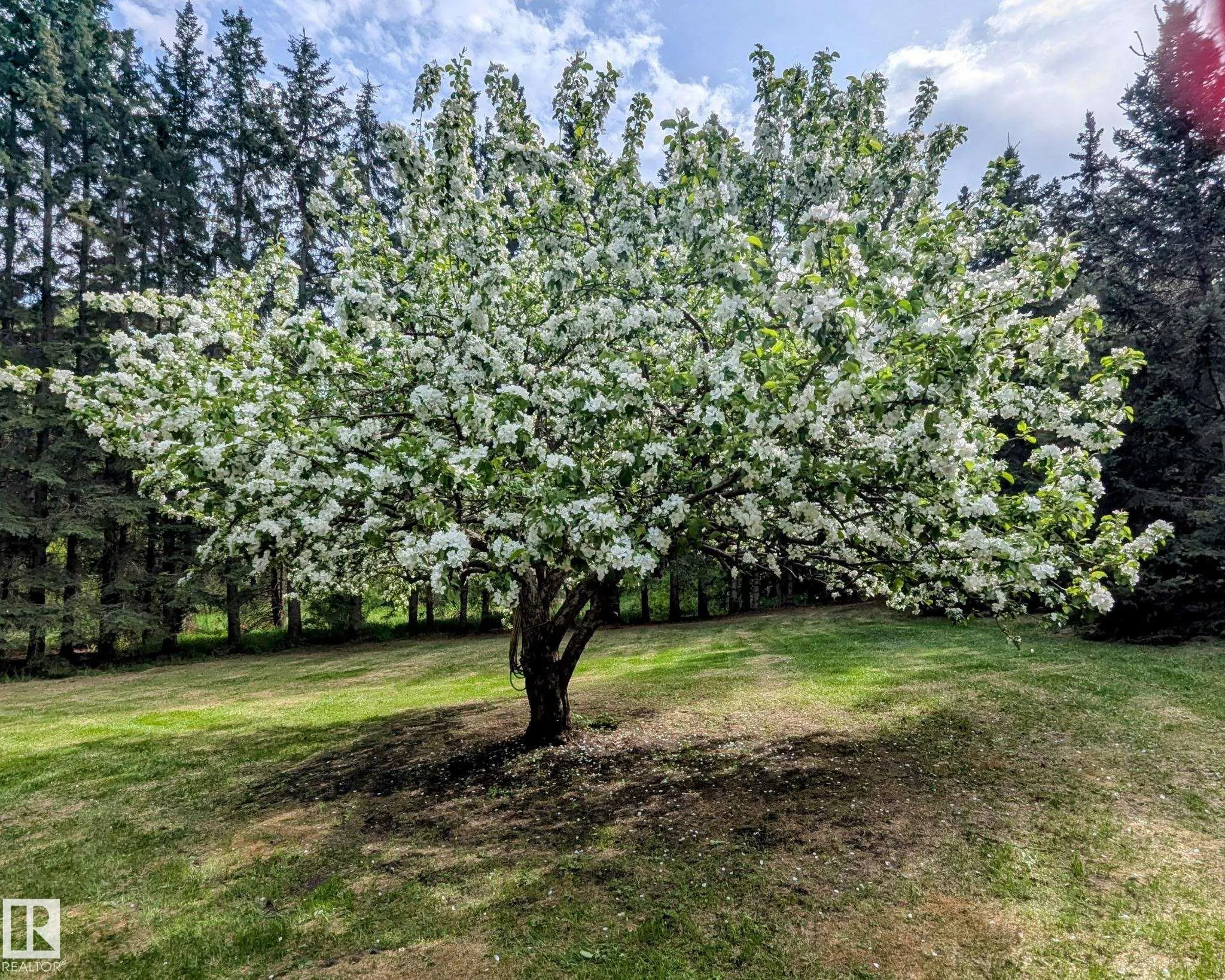 52246 RGE ROAD 232
