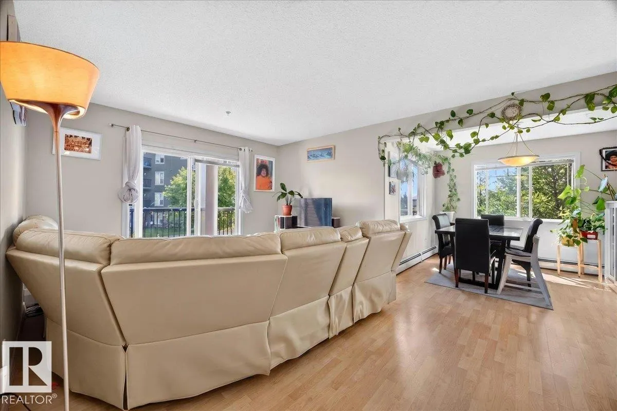 646 MCALLISTER Loop