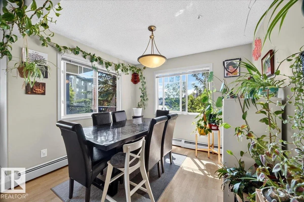 646 MCALLISTER Loop