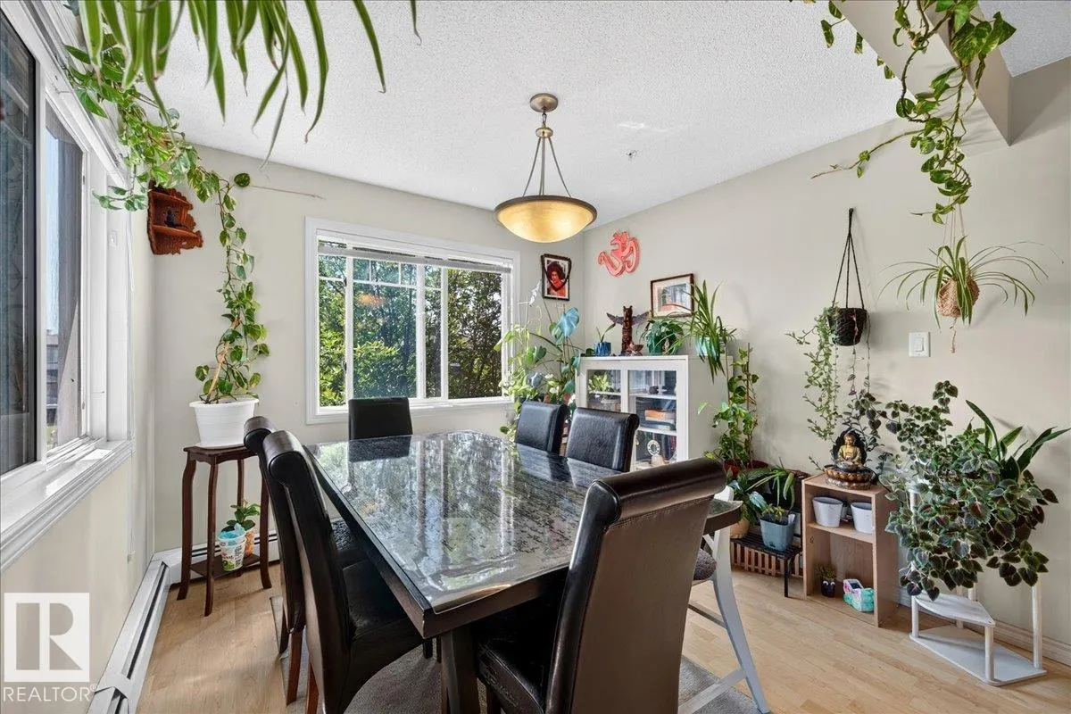 646 MCALLISTER Loop