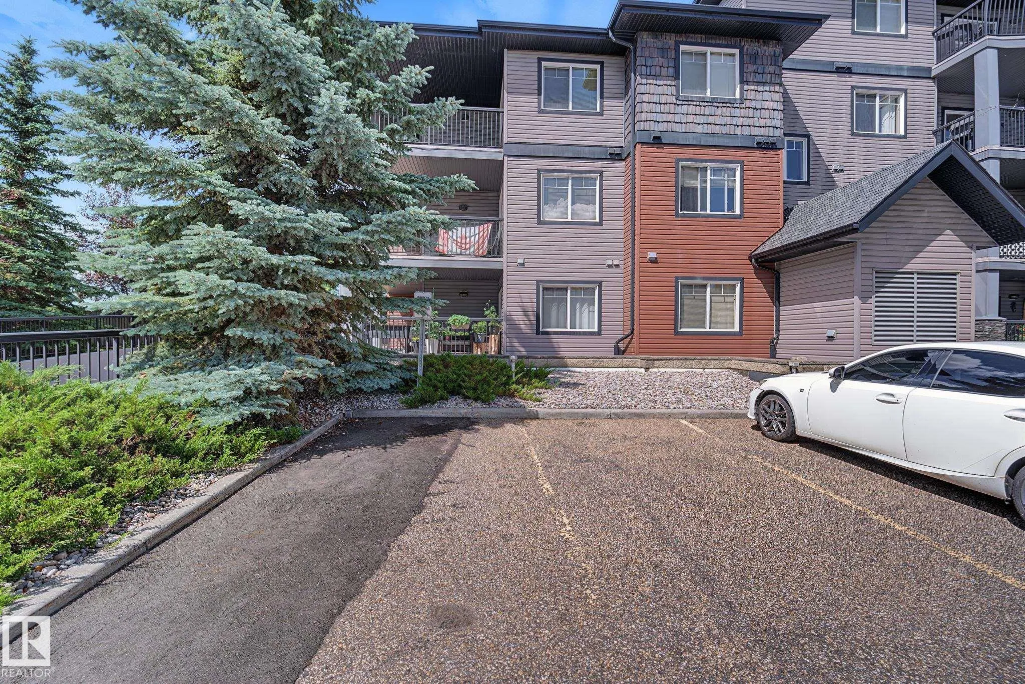 646 MCALLISTER Loop