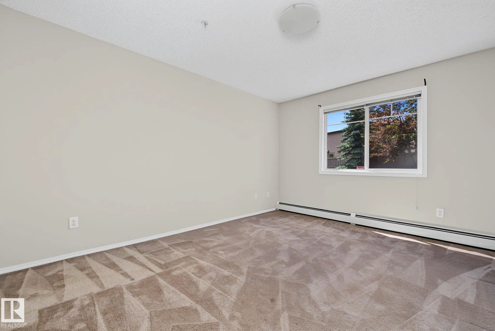 646 MCALLISTER Loop