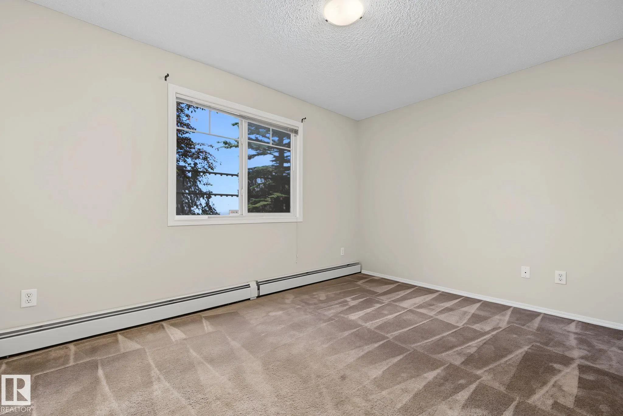 646 MCALLISTER Loop