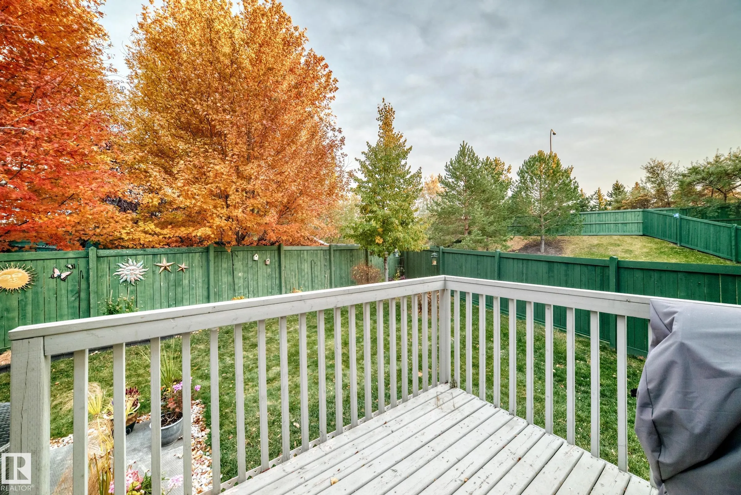 219 CHARLOTTE Way