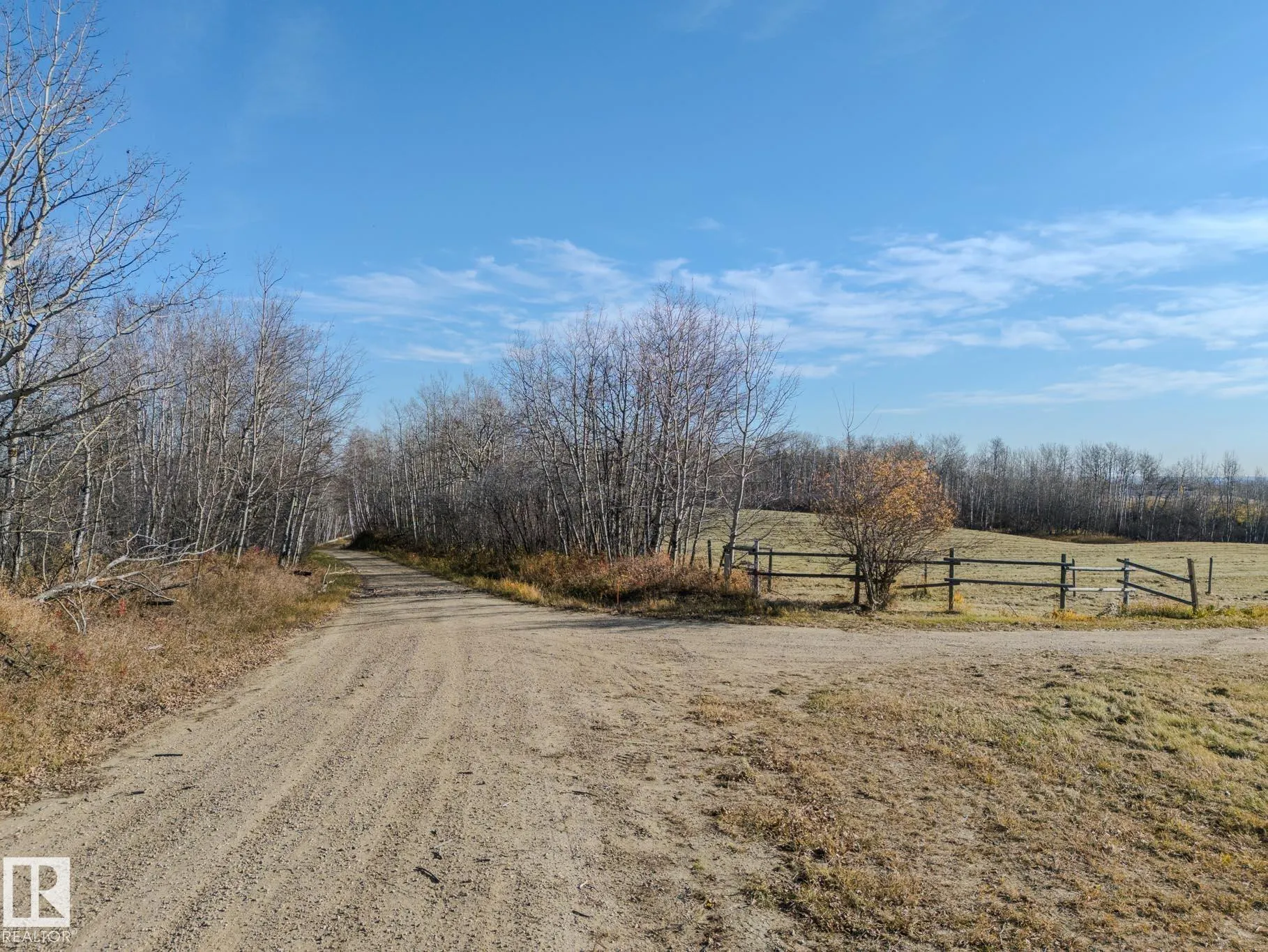 1219 HGHWAY 16