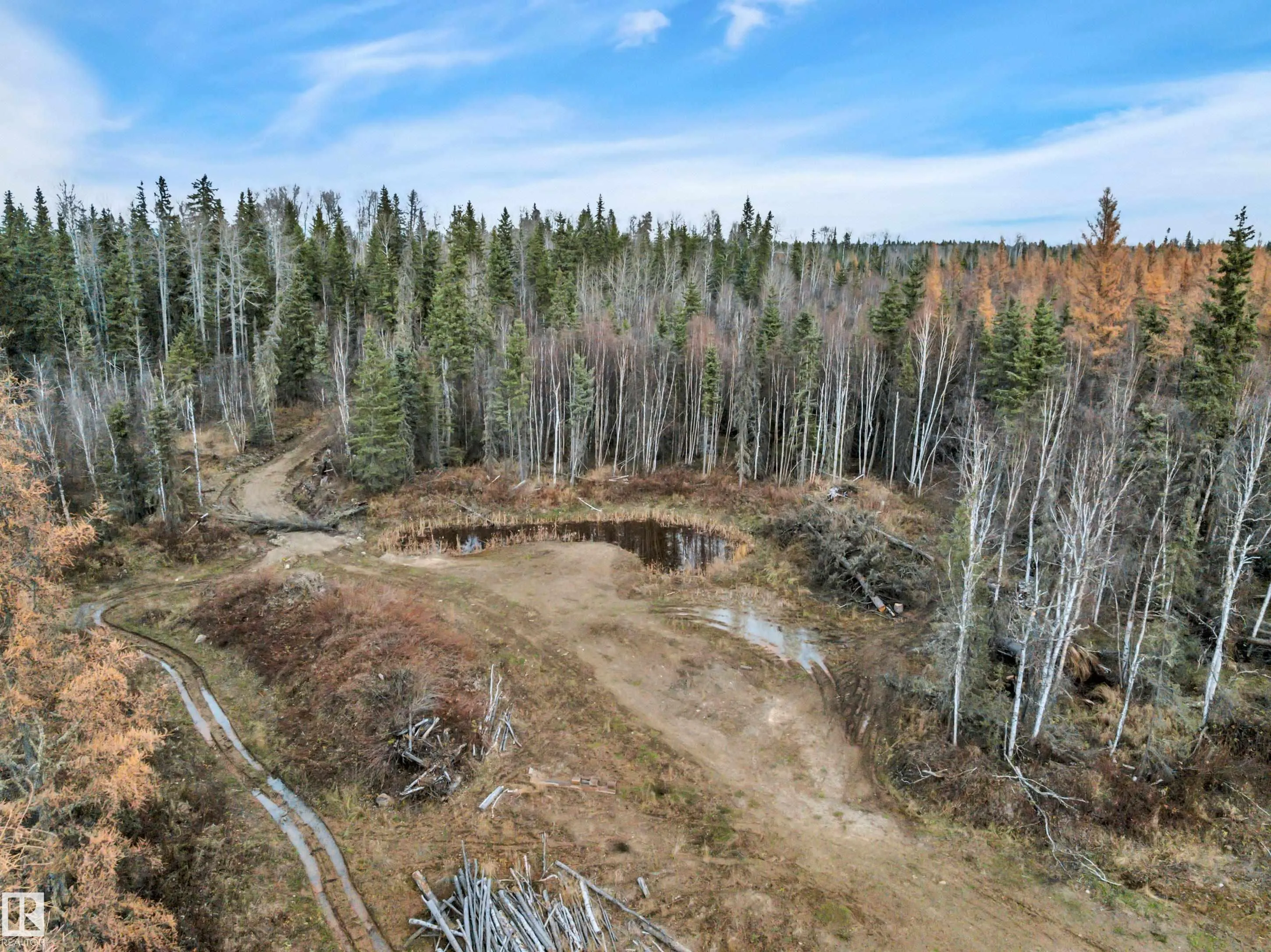 12006 Twp Rd 533a