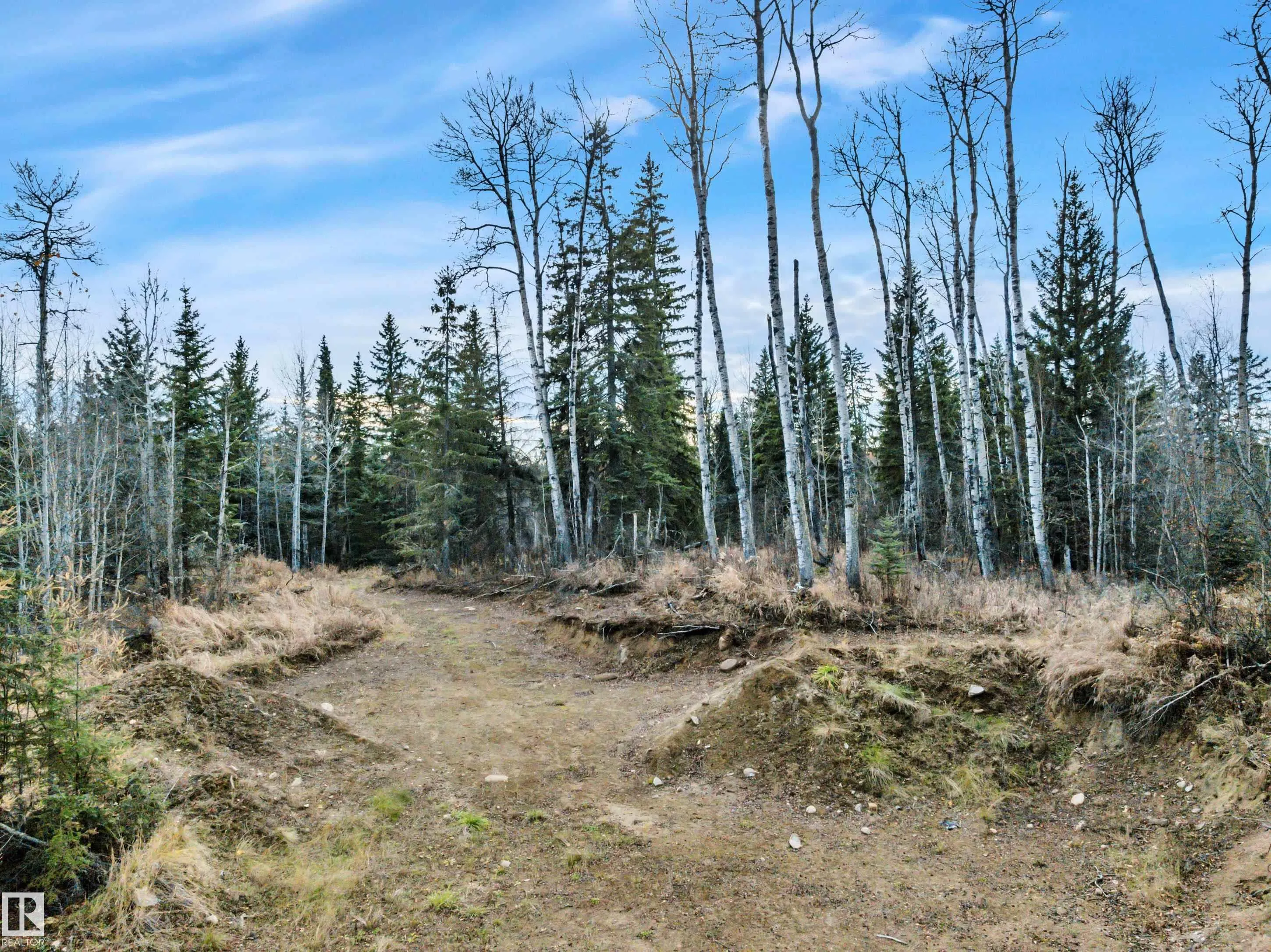 12006 Twp Rd 533a